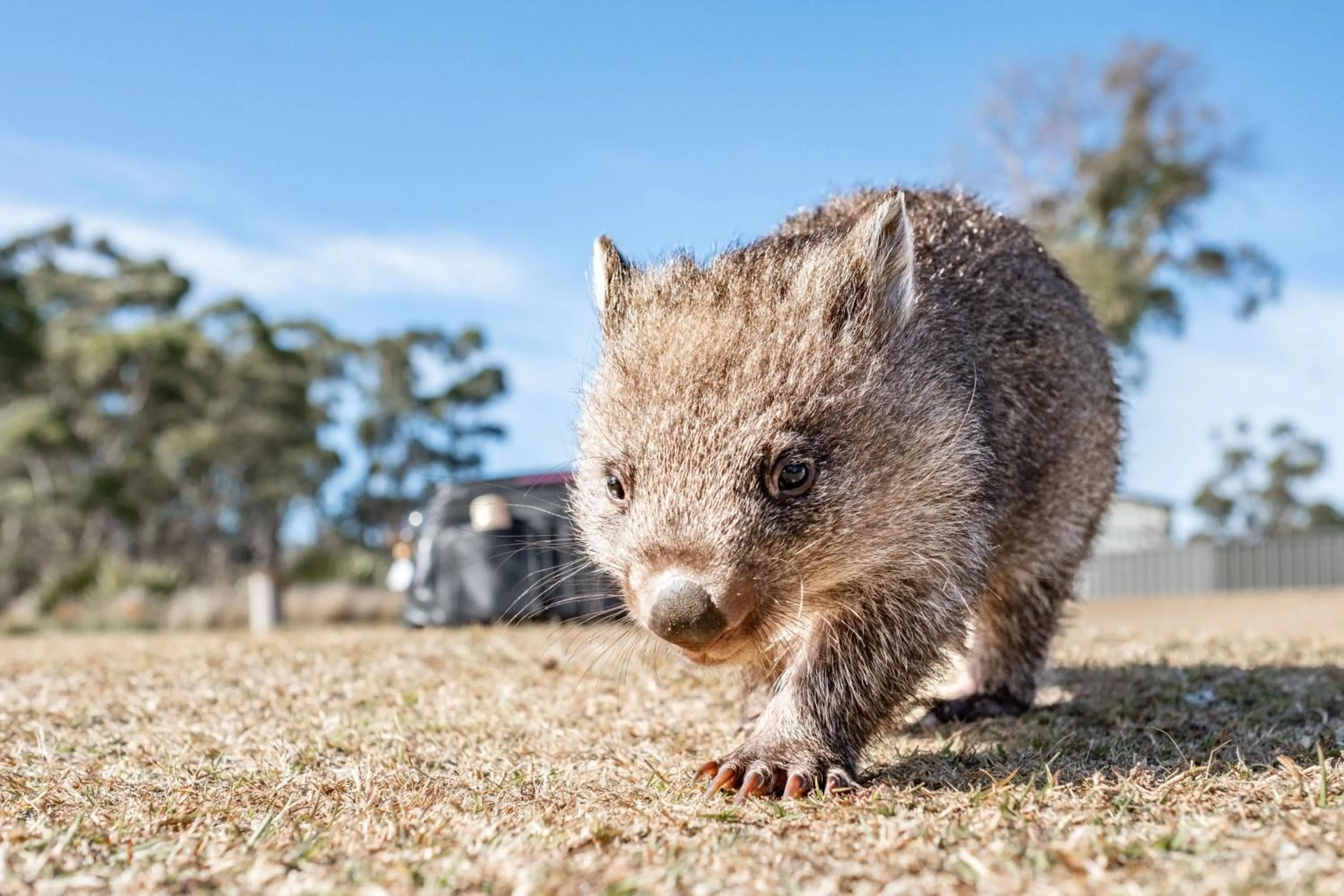 Nearby landmark in Crowne Plaza Hobart by IHG