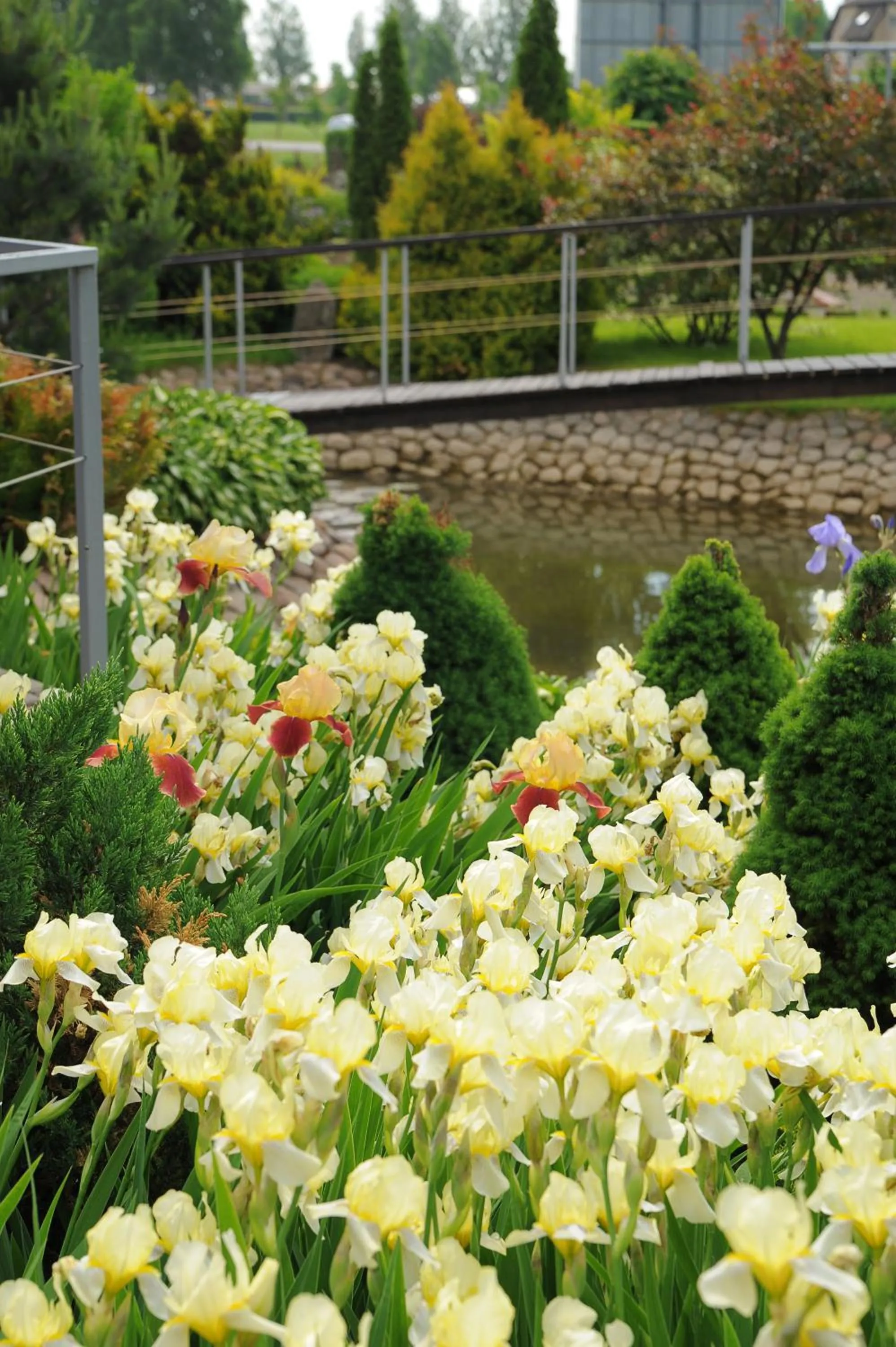 Garden view in Motelis Smagratis Kretinga