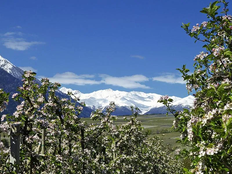 Spring in Pension Lärchenhof