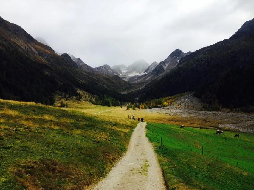 Hiking in Pension Lärchenhof