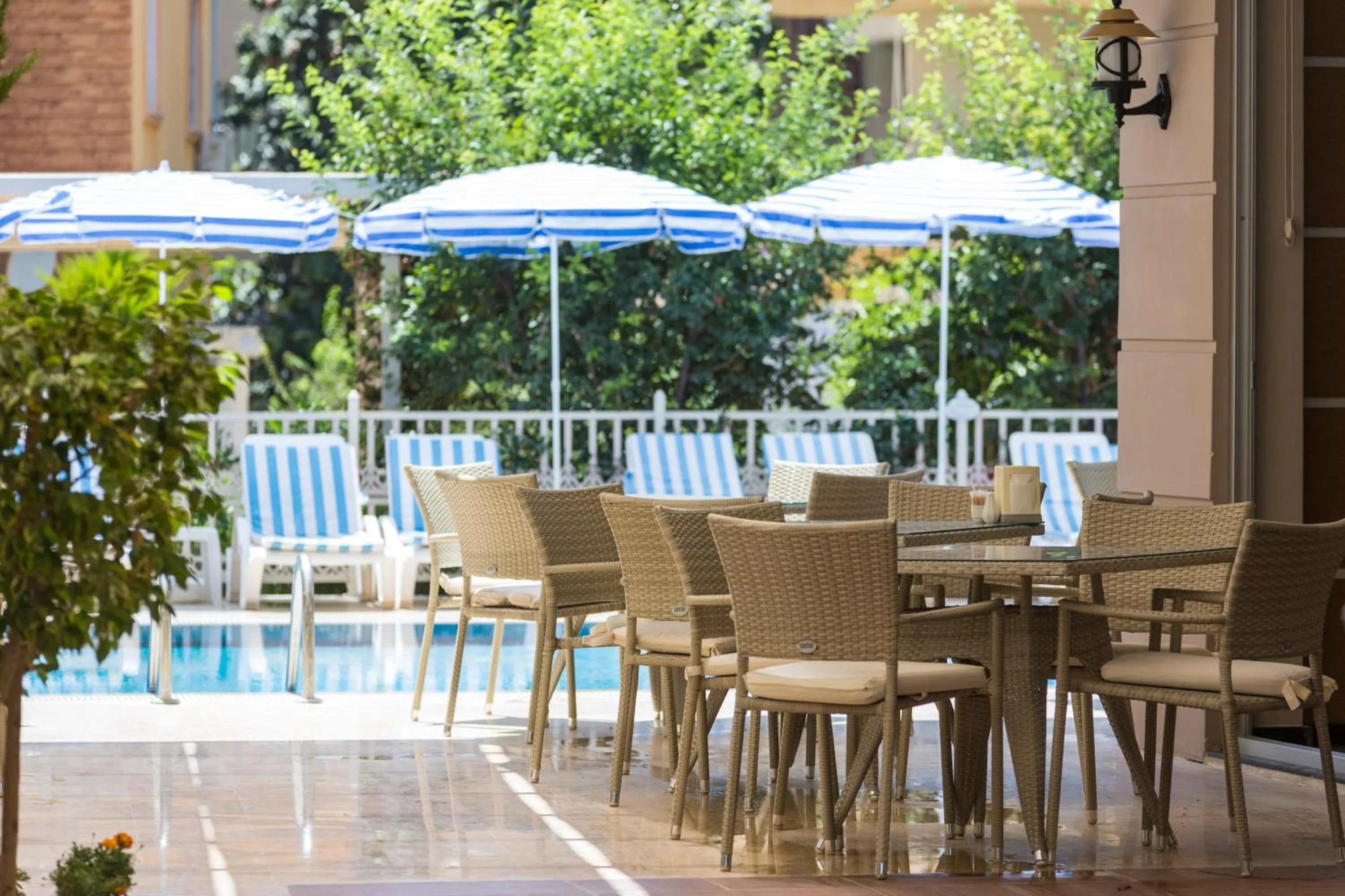 Swimming pool in Lonicera City Hotel