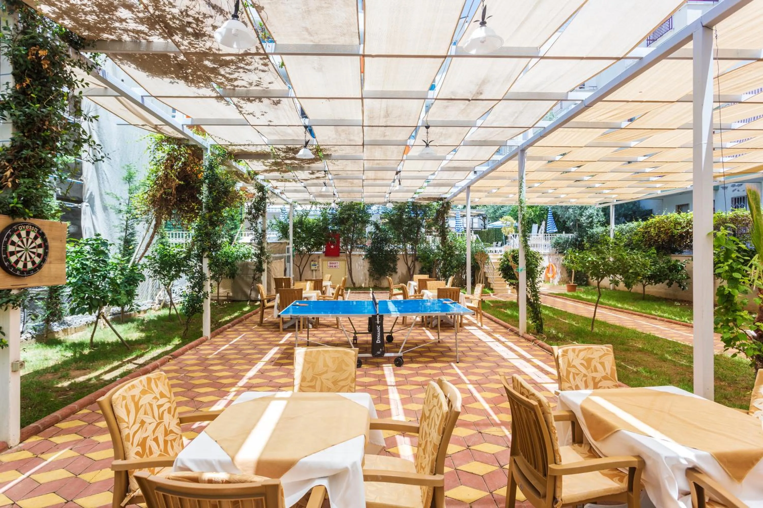 Darts in Lonicera City Hotel