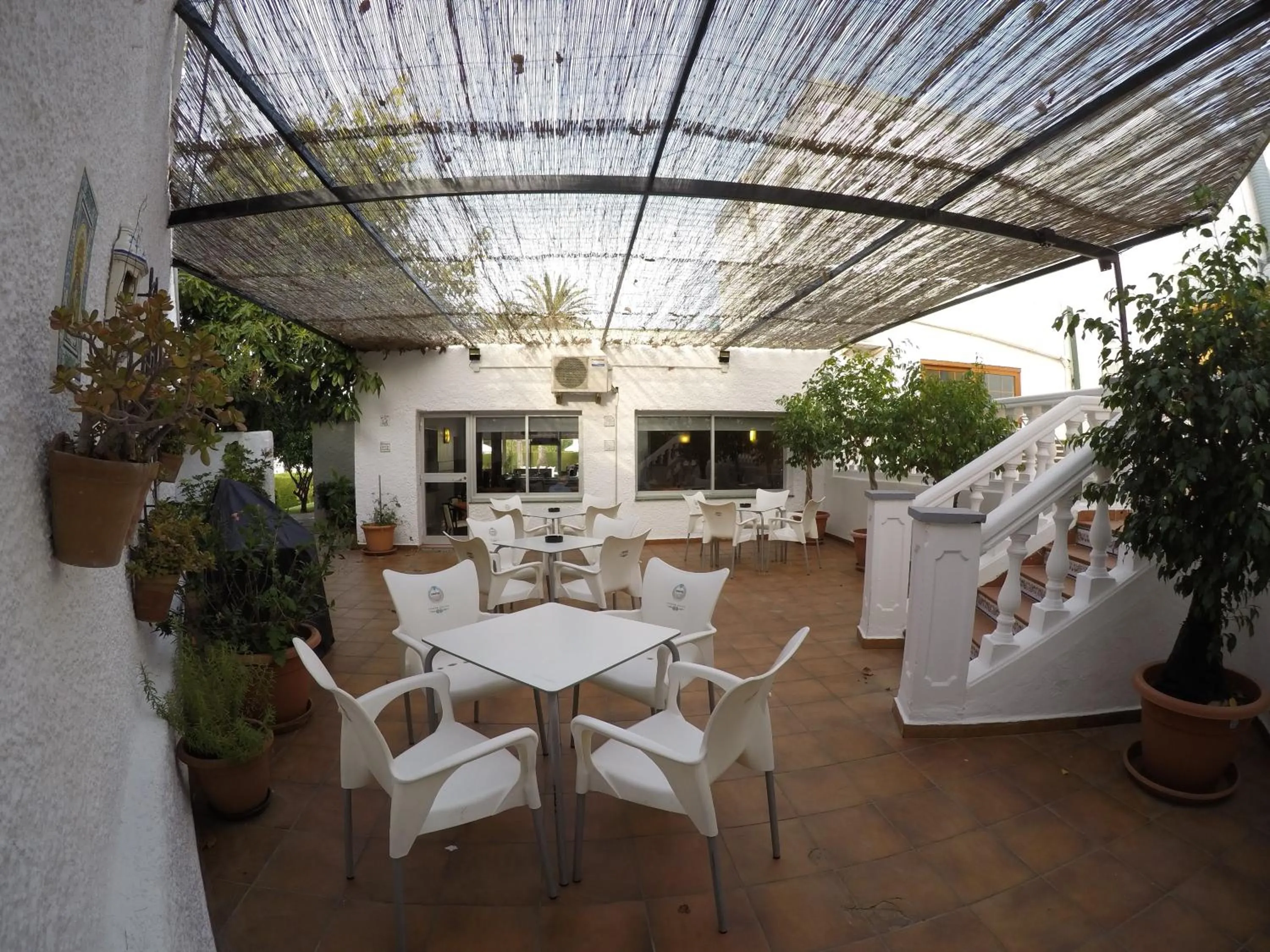 Coffee/tea facilities in Hotel Complejo Los Rosales