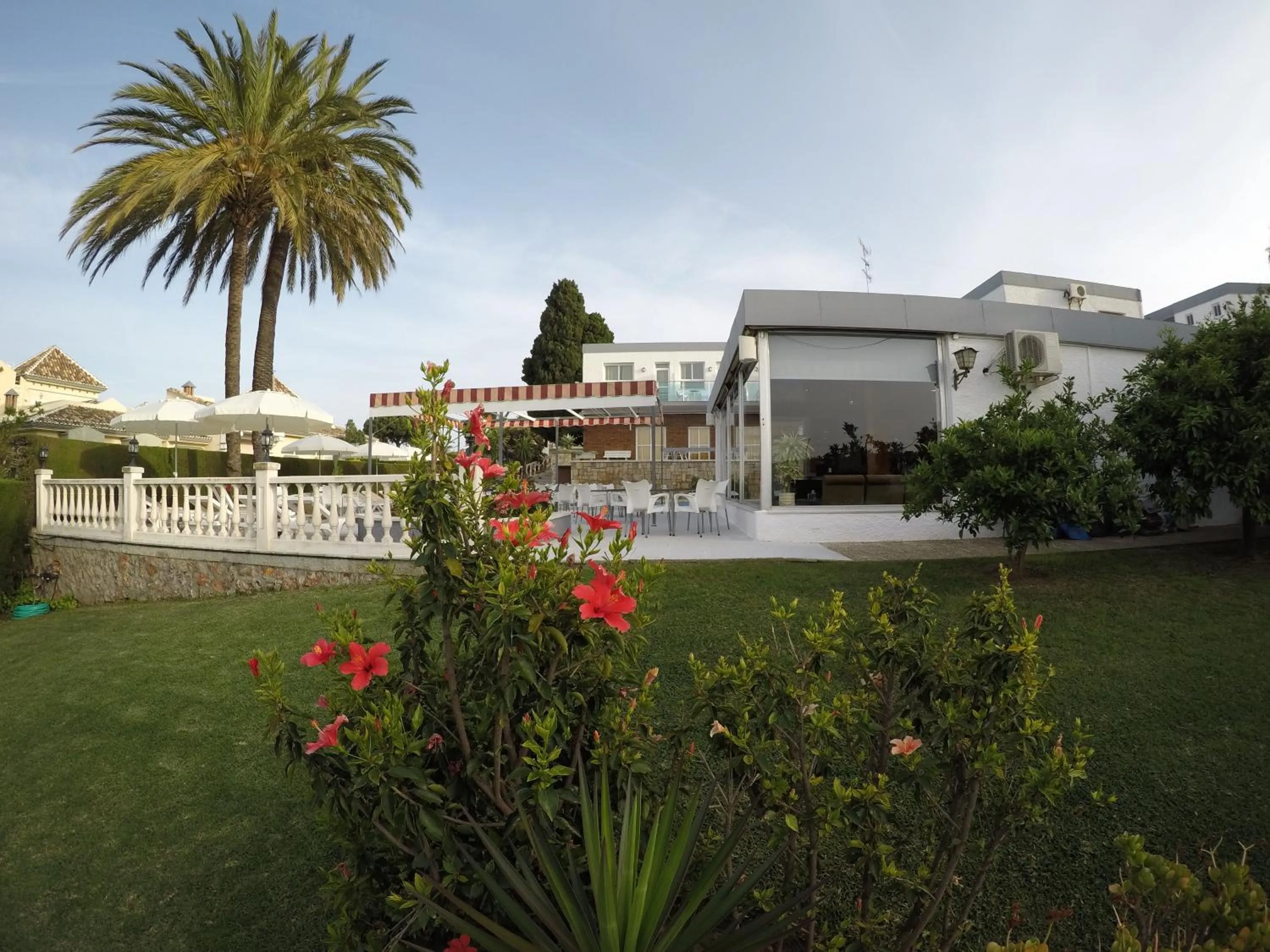 Patio in Hotel Complejo Los Rosales