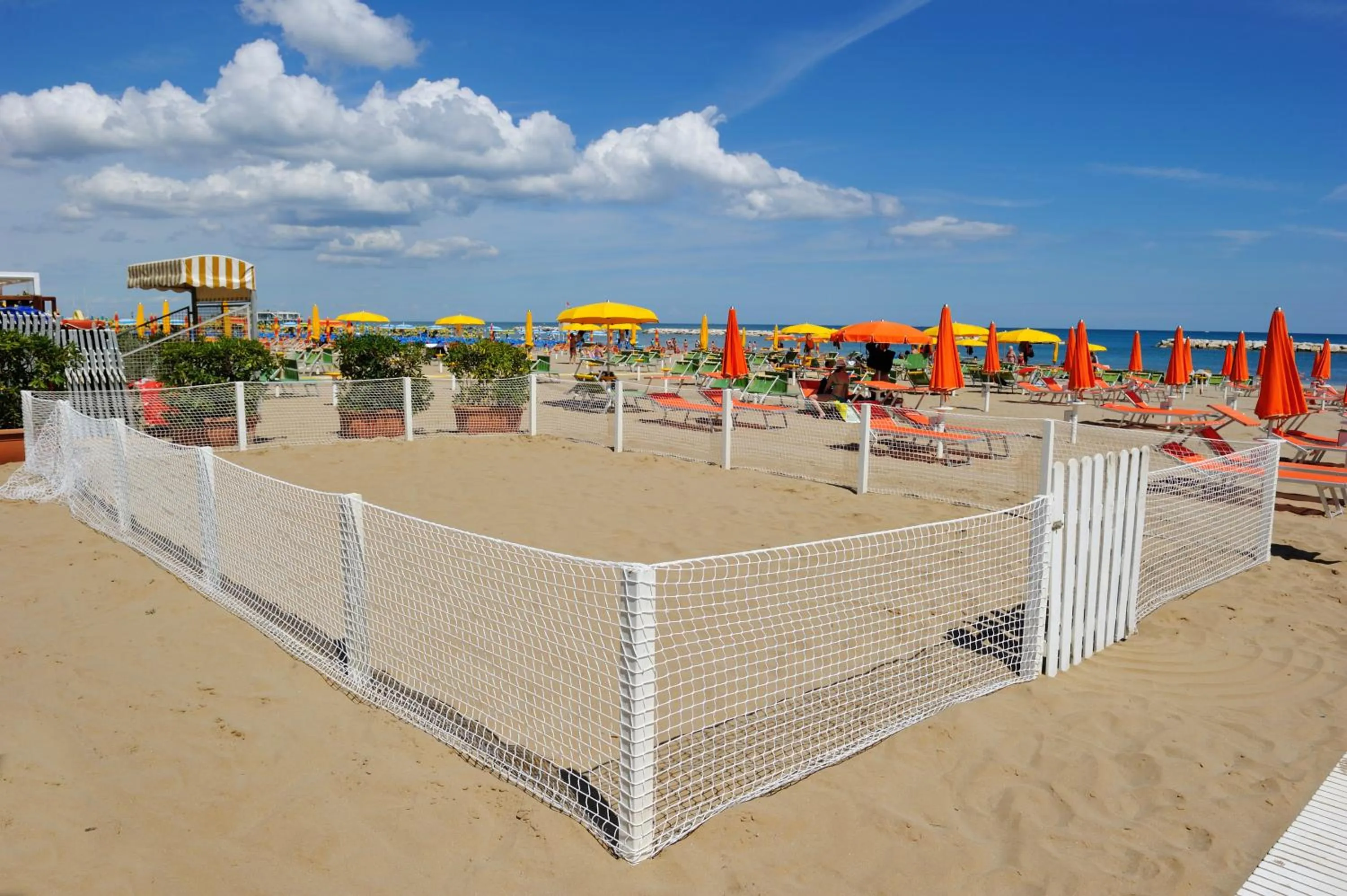 Summer in Hotel Venus