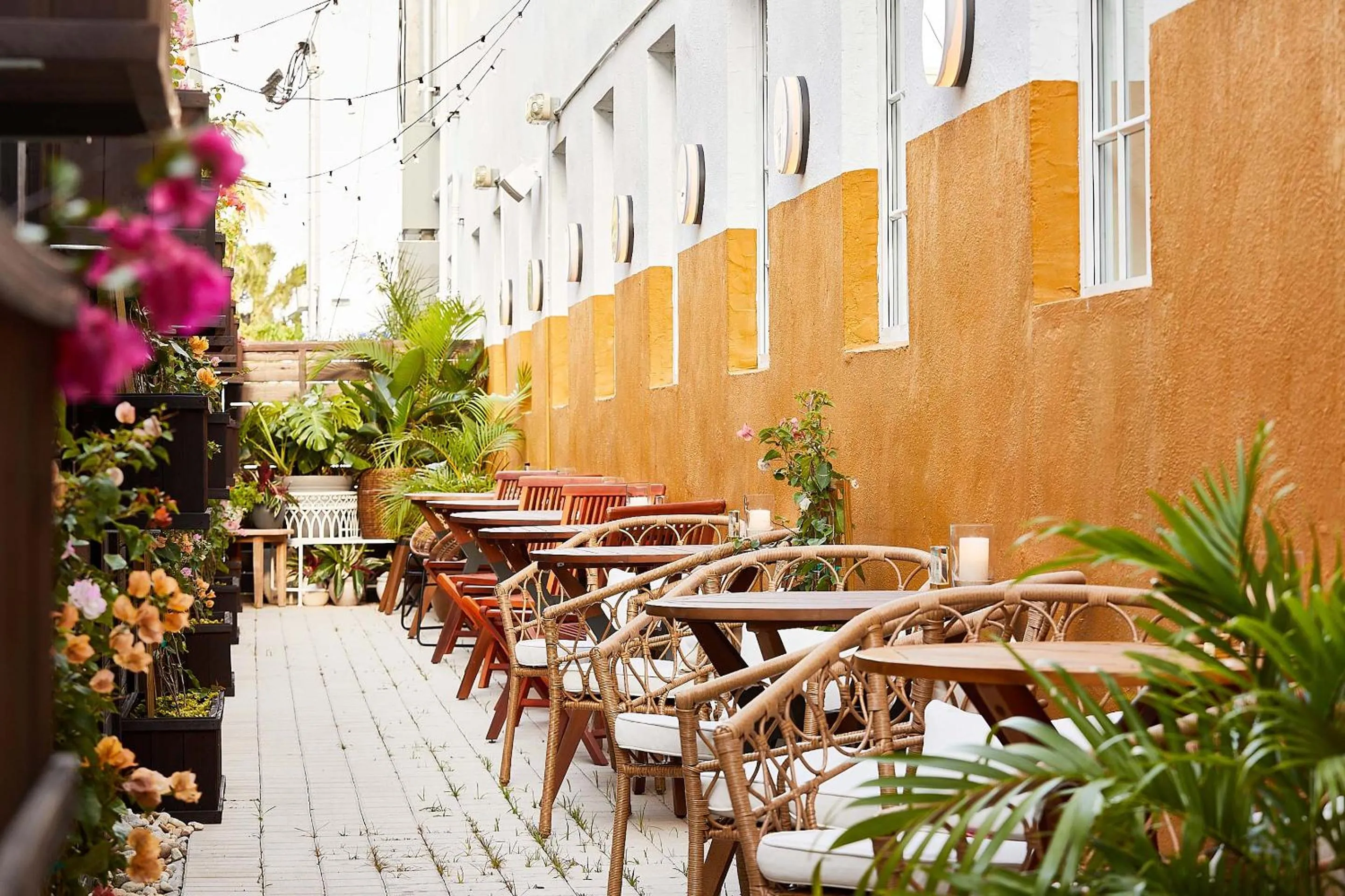 Restaurant/places to eat in Life House, South of Fifth