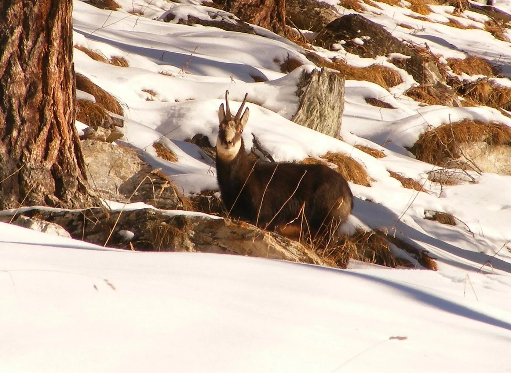 Natural landscape in Hotel Bergalga