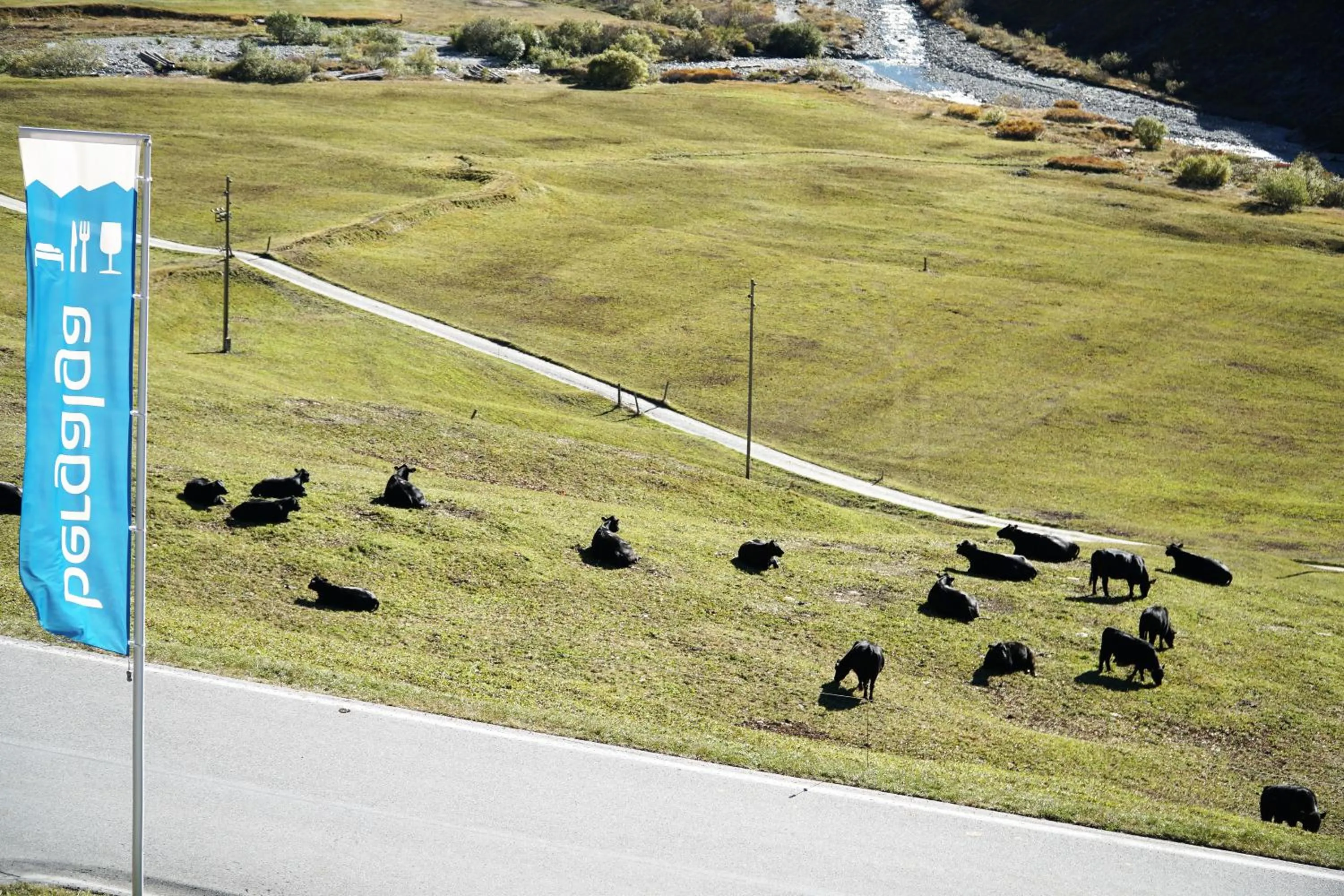 Property logo or sign in Hotel Bergalga