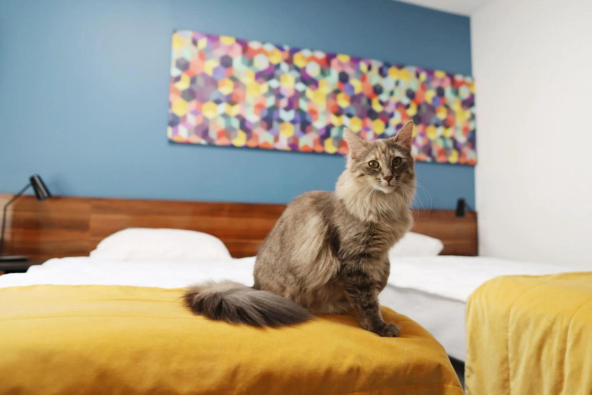 Animals, Bed in Arche Hotel Tobaco Łódź