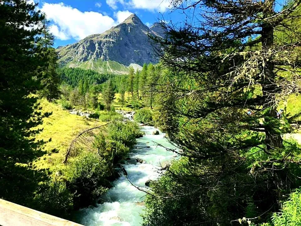 Natural landscape in Residence Mirage