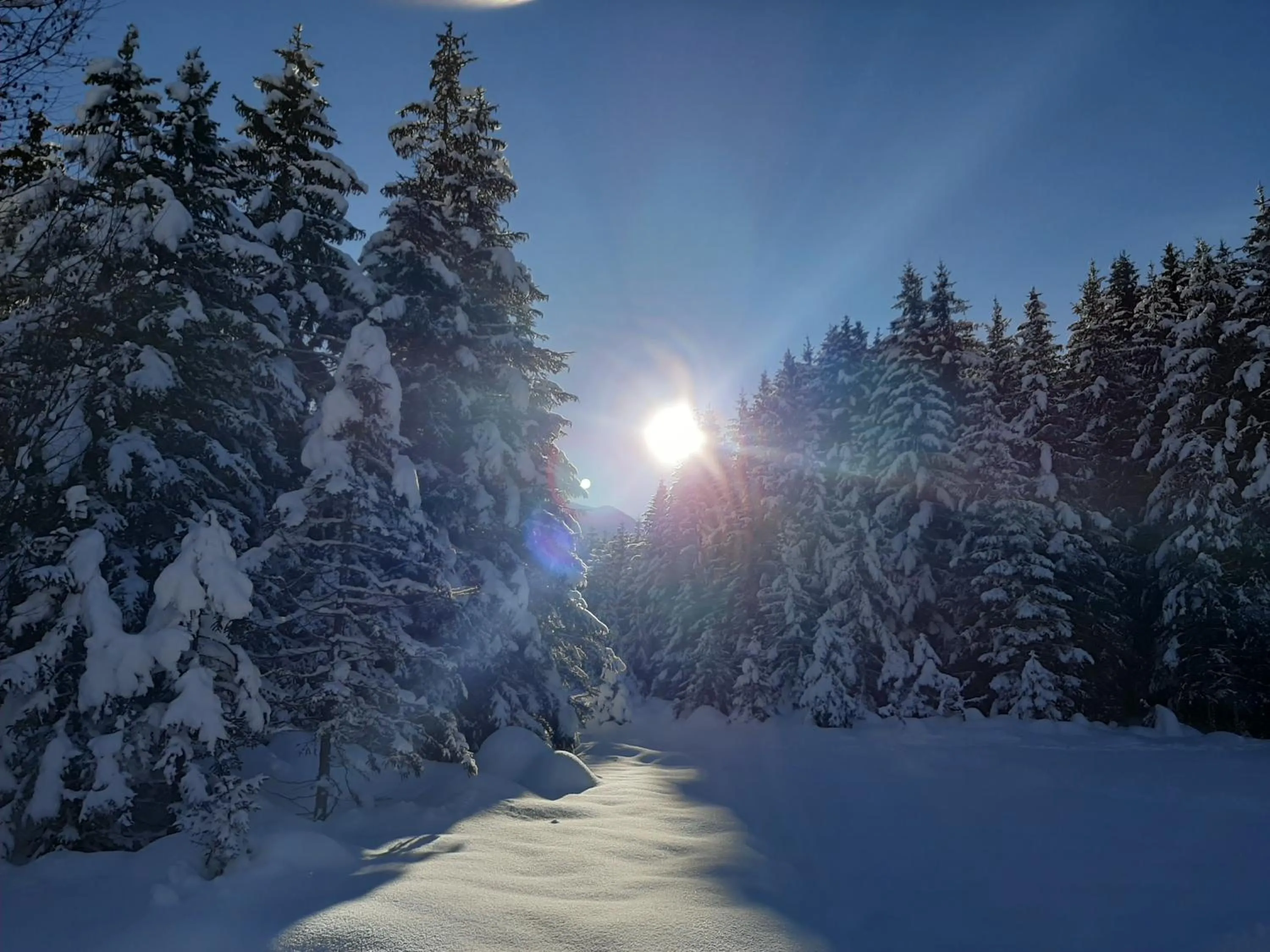 Natural landscape in Residence Mirage