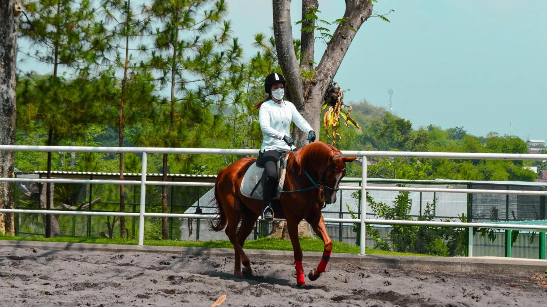 Activities in K Gallery Hotel