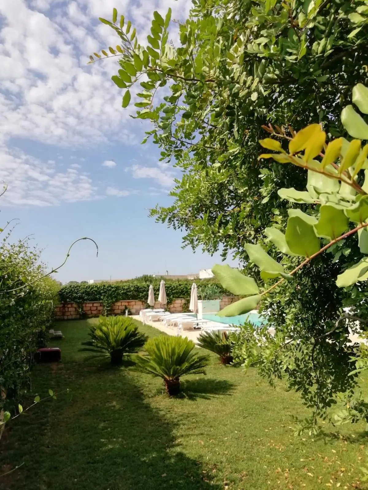 Il Giardino Del Tiglio