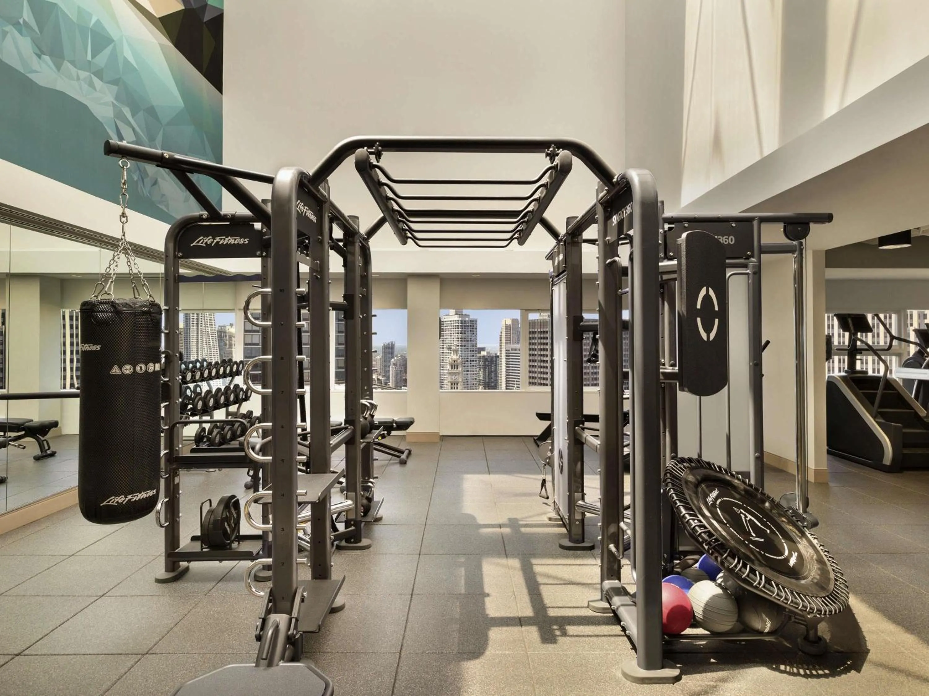 Other in Swissotel Chicago