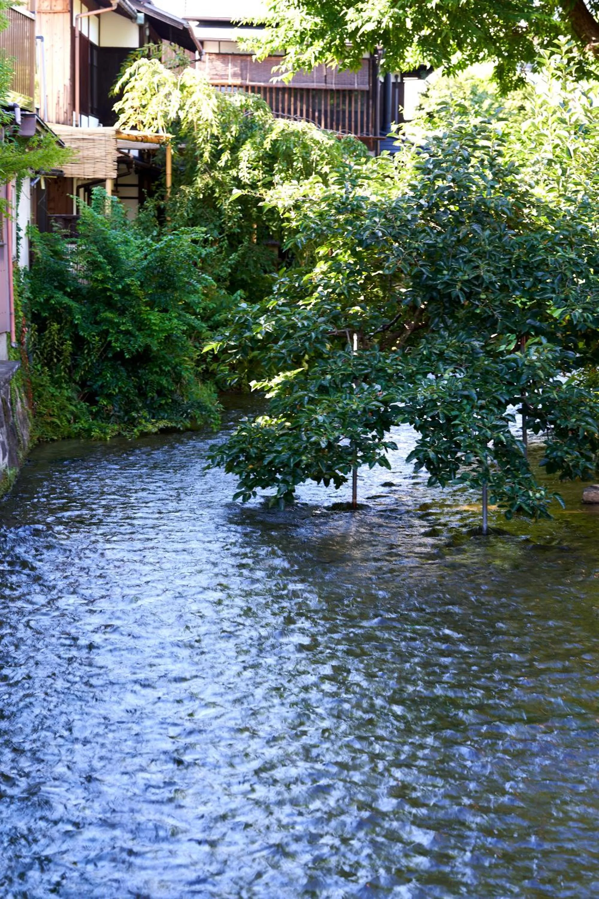 Area and facilities in Tassel Hotel Sanjo Shirakawa