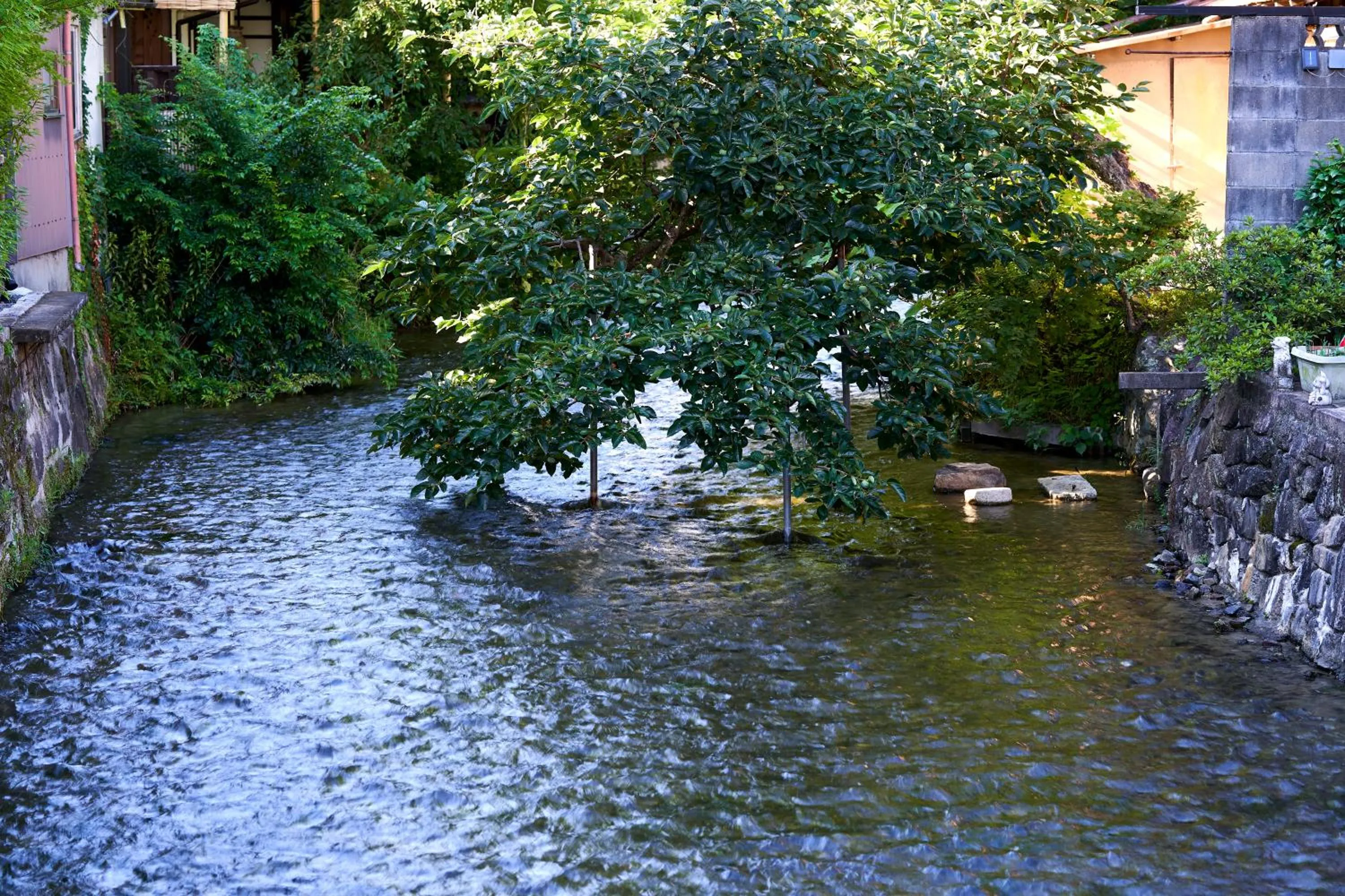 Area and facilities in Tassel Hotel Sanjo Shirakawa