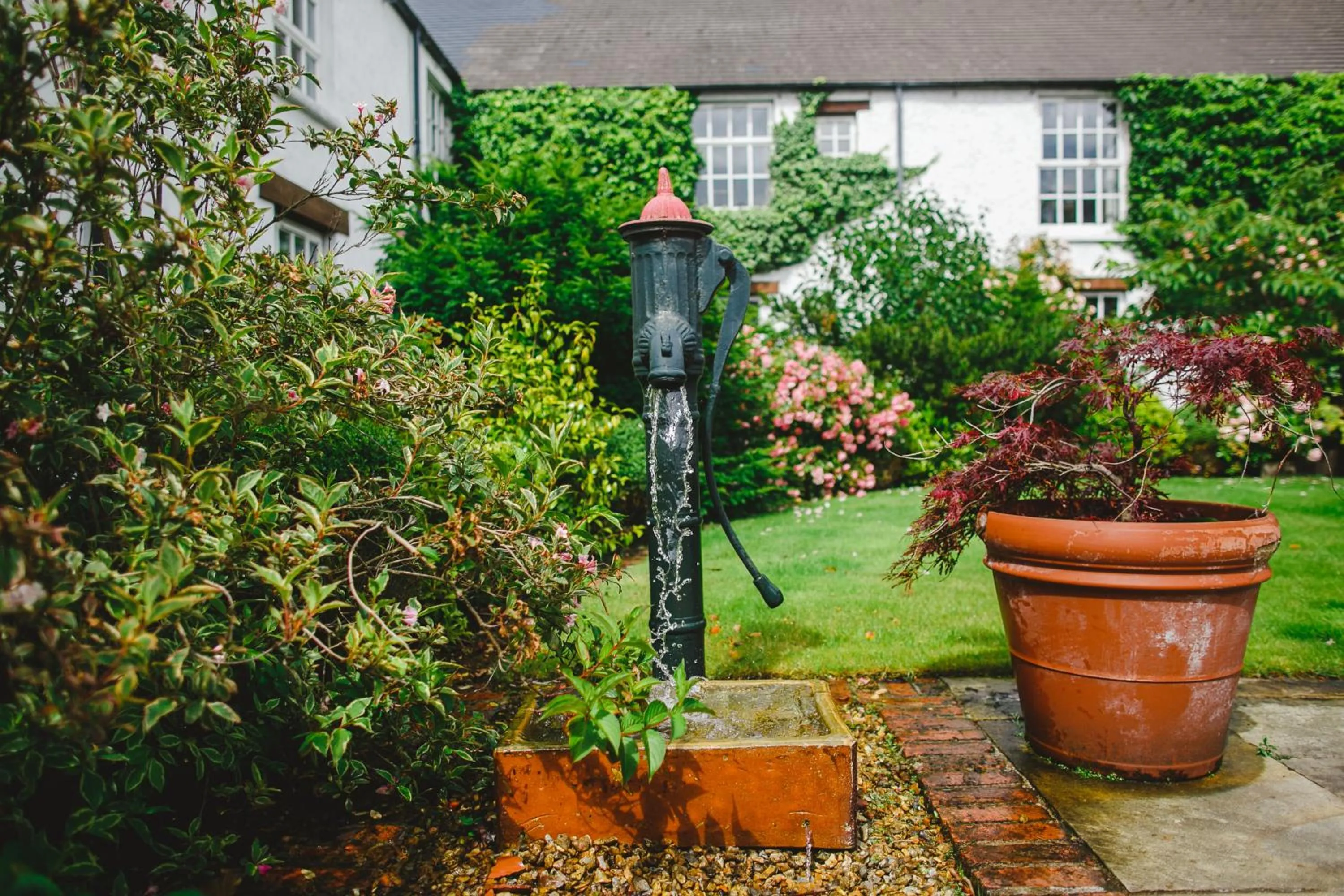 Garden in Bushmills Inn Hotel & Restaurant