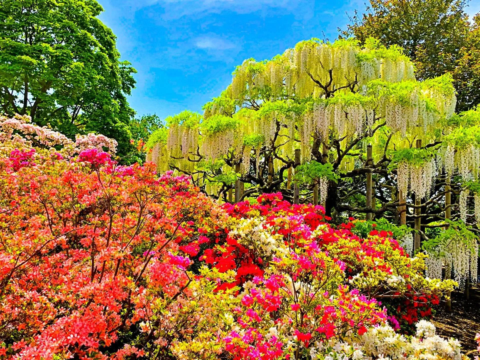 Nearby landmark in Lake Side Nikko Hotel