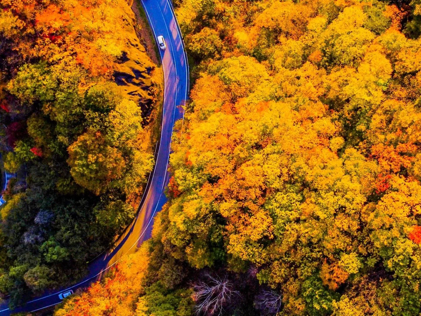 Nearby landmark in Lake Side Nikko Hotel