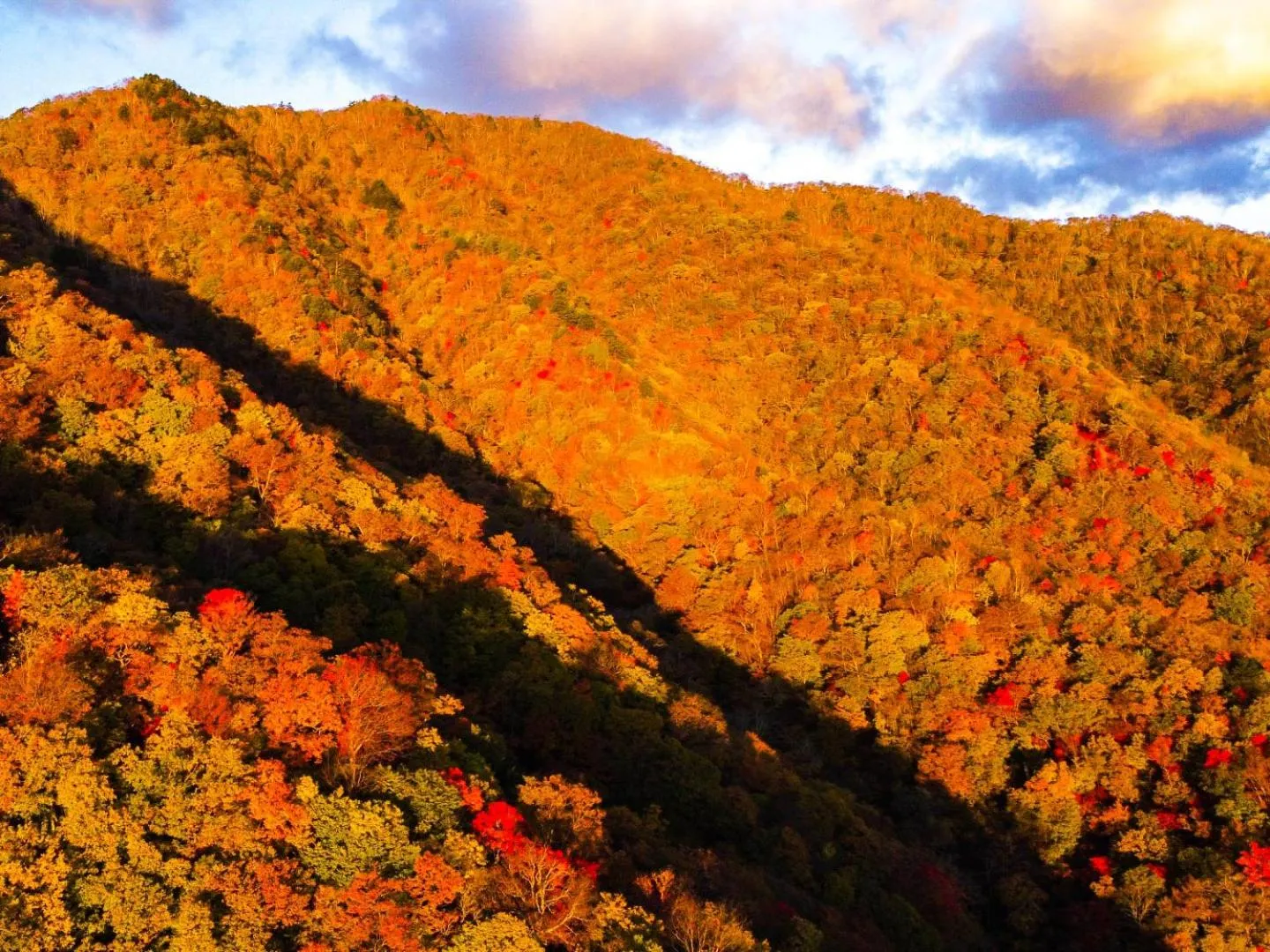 Nearby landmark in Lake Side Nikko Hotel