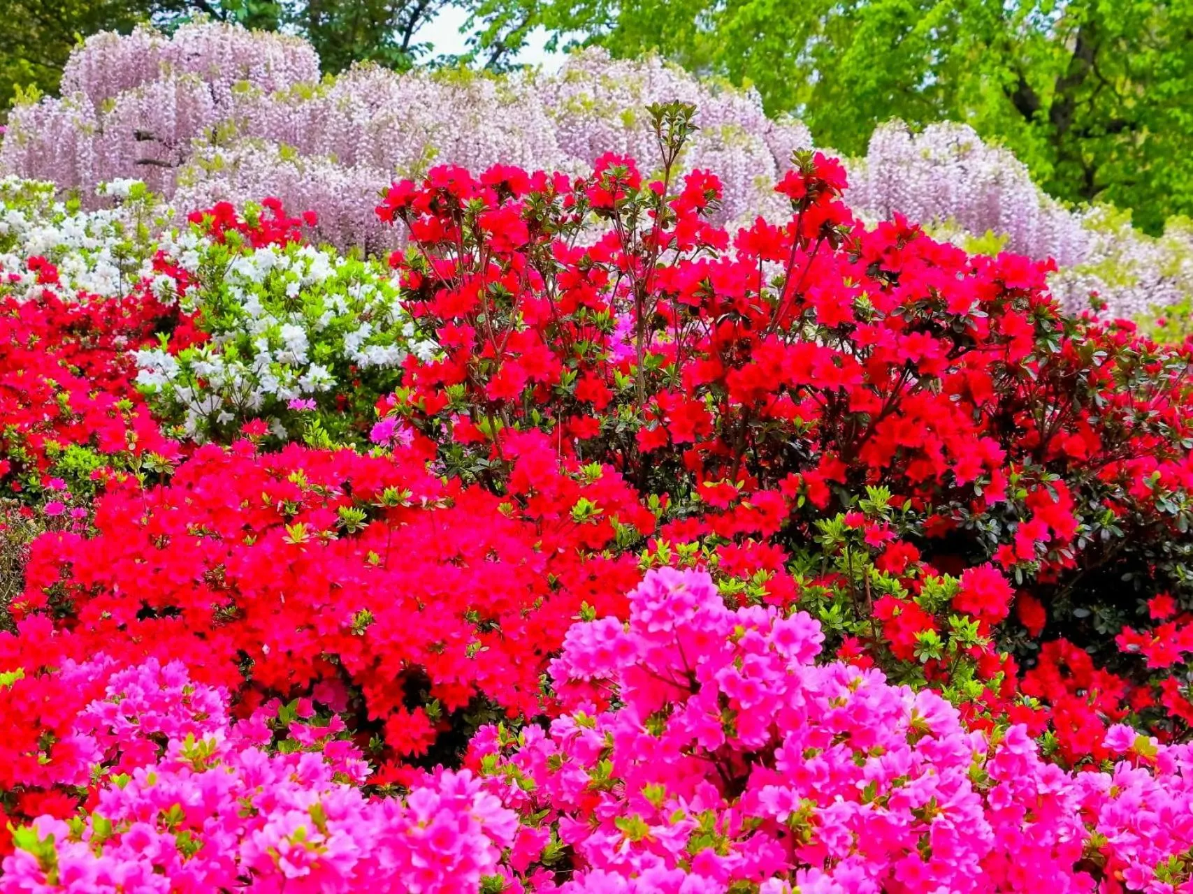 Nearby landmark in Lake Side Nikko Hotel