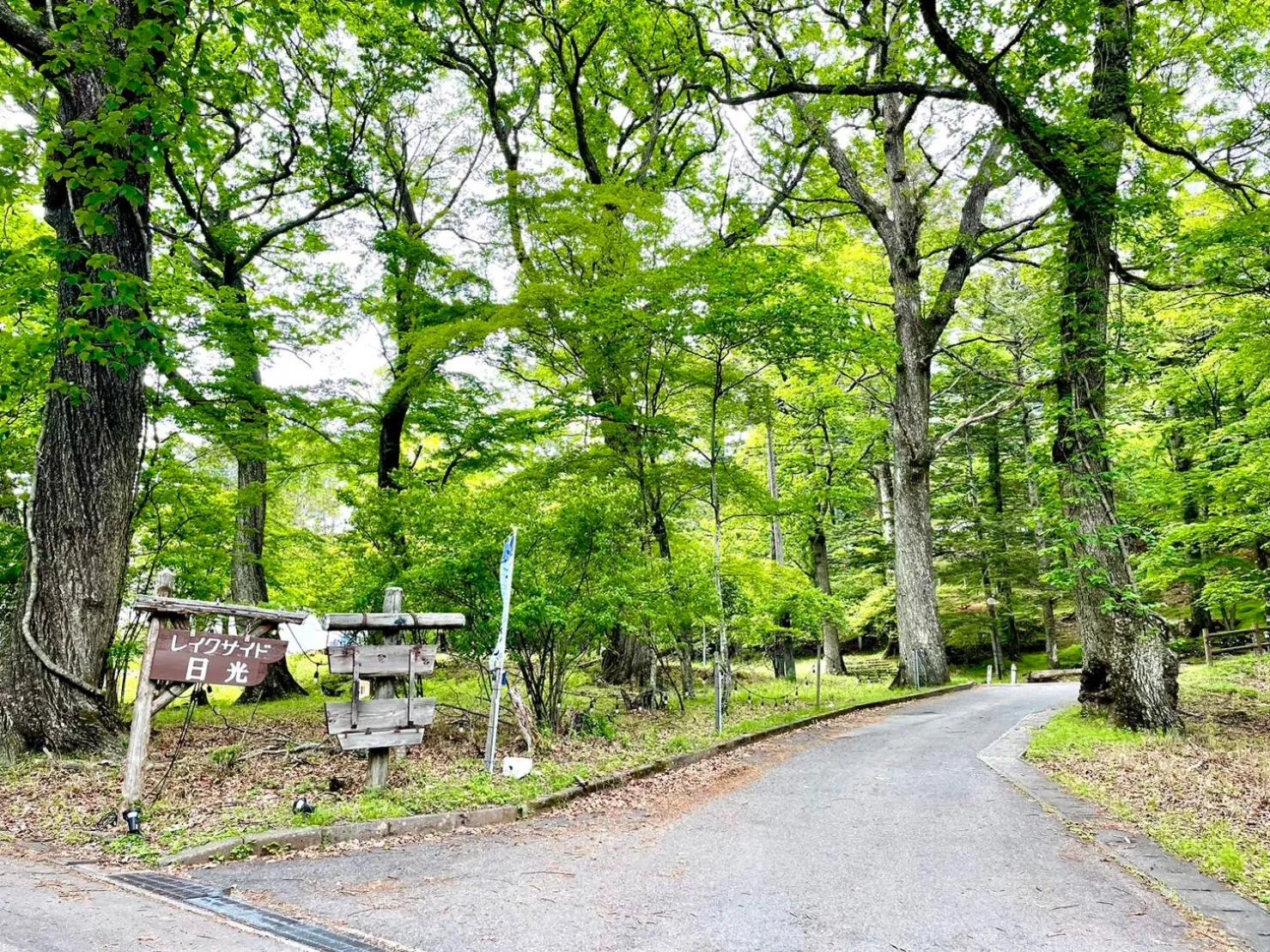 Lake Side Nikko Hotel