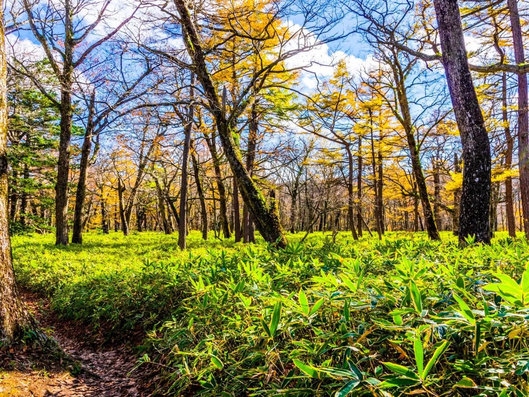Nearby landmark in Lake Side Nikko Hotel