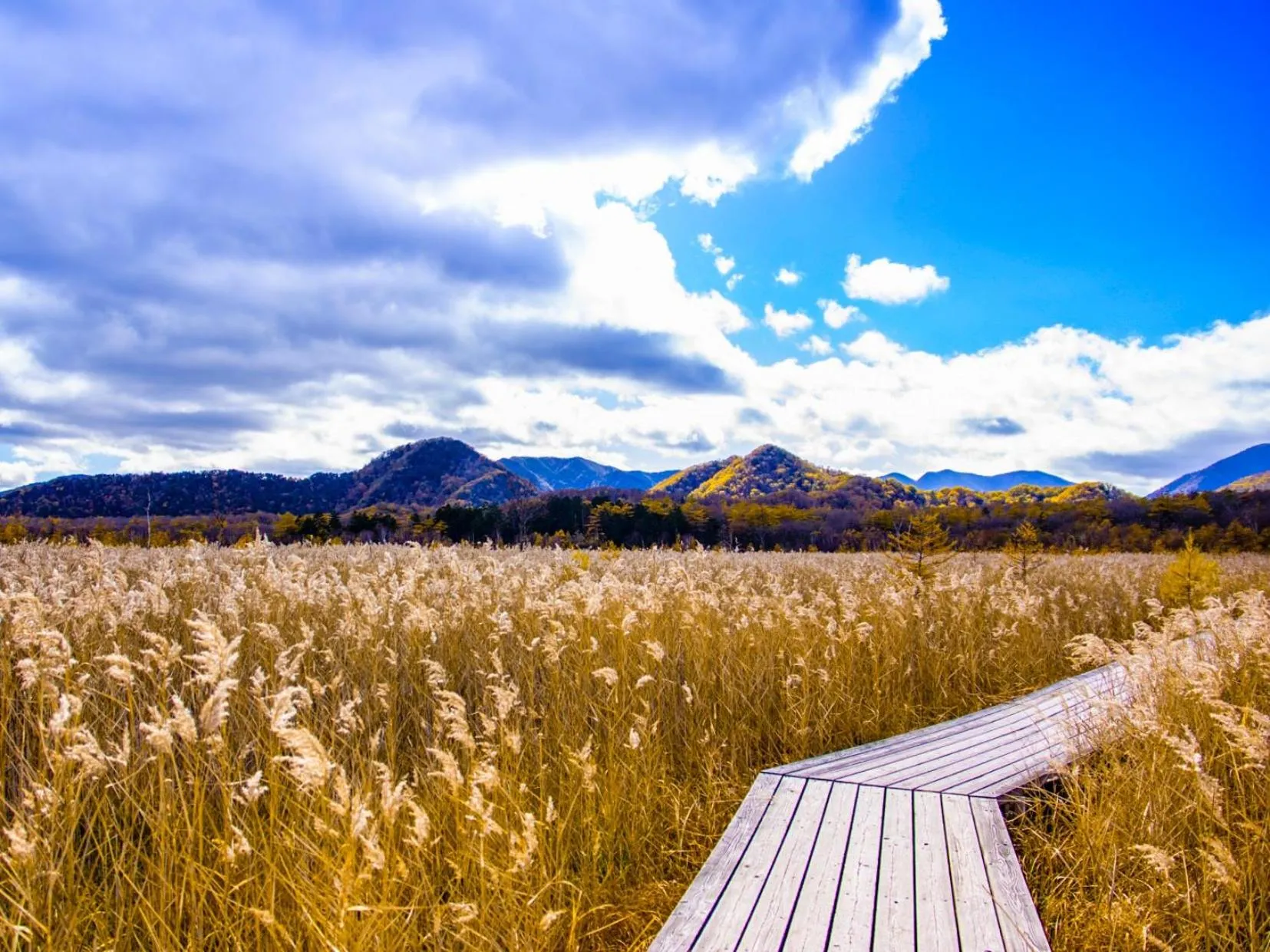 Nearby landmark in Lake Side Nikko Hotel