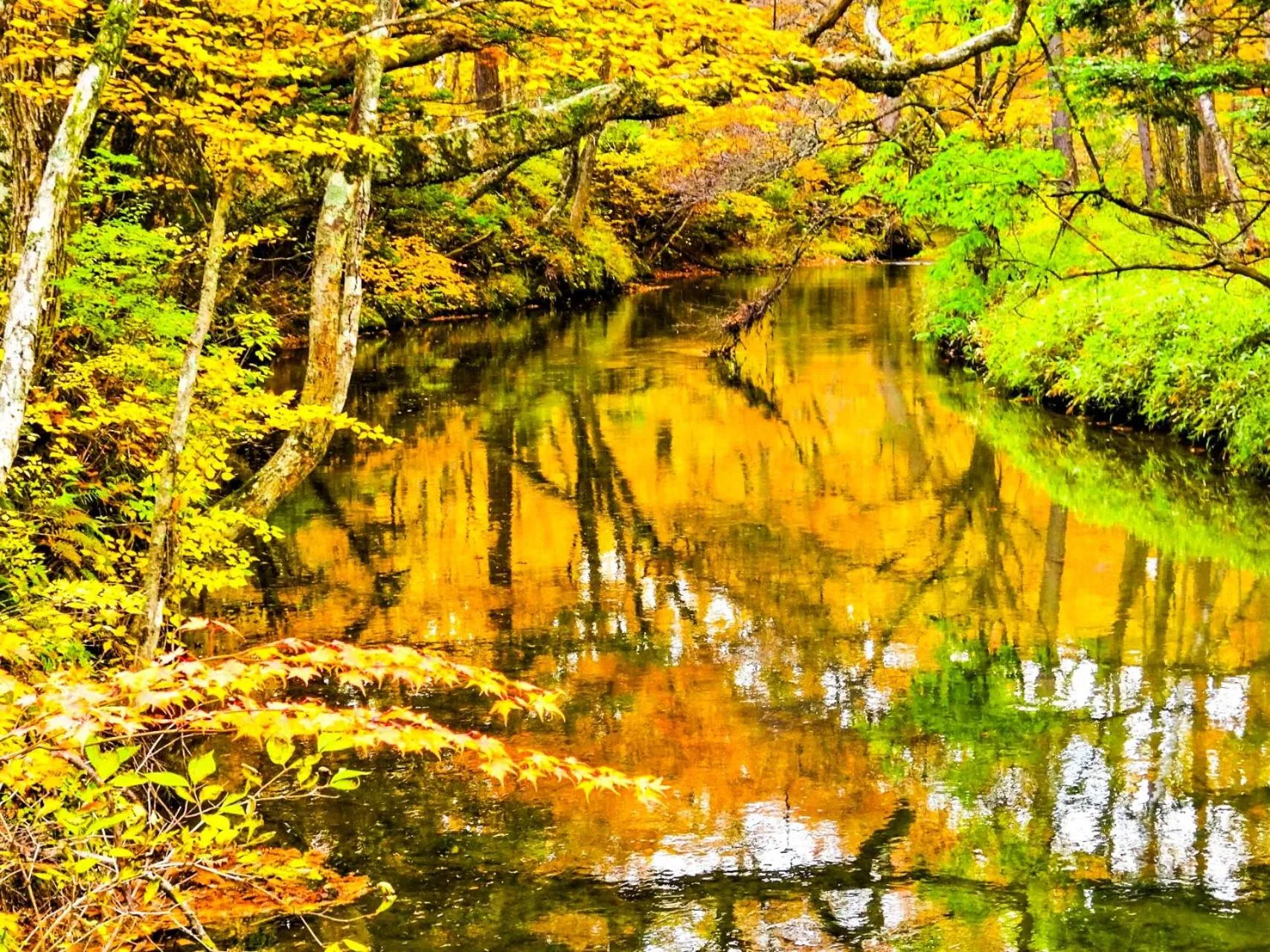Nearby landmark in Lake Side Nikko Hotel