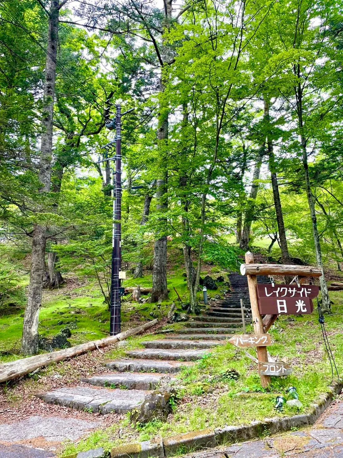 Lake Side Nikko Hotel