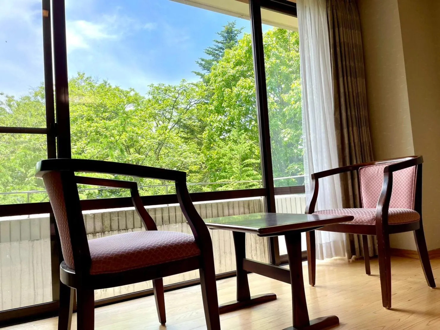 View (from property/room) in Lake Side Nikko Hotel