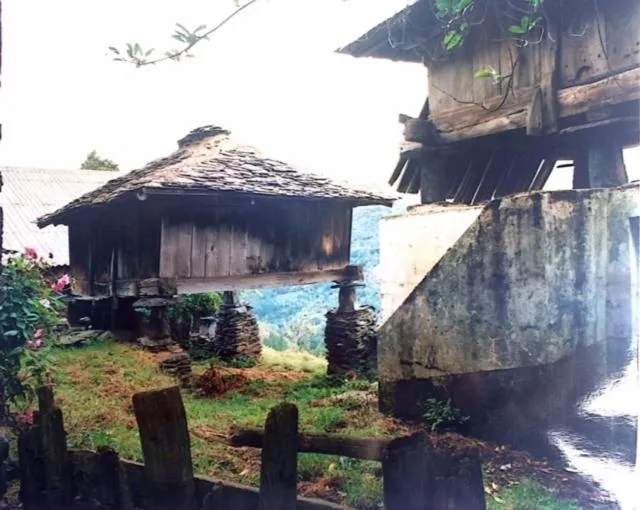 Other in Hotel Nueva Allandesa