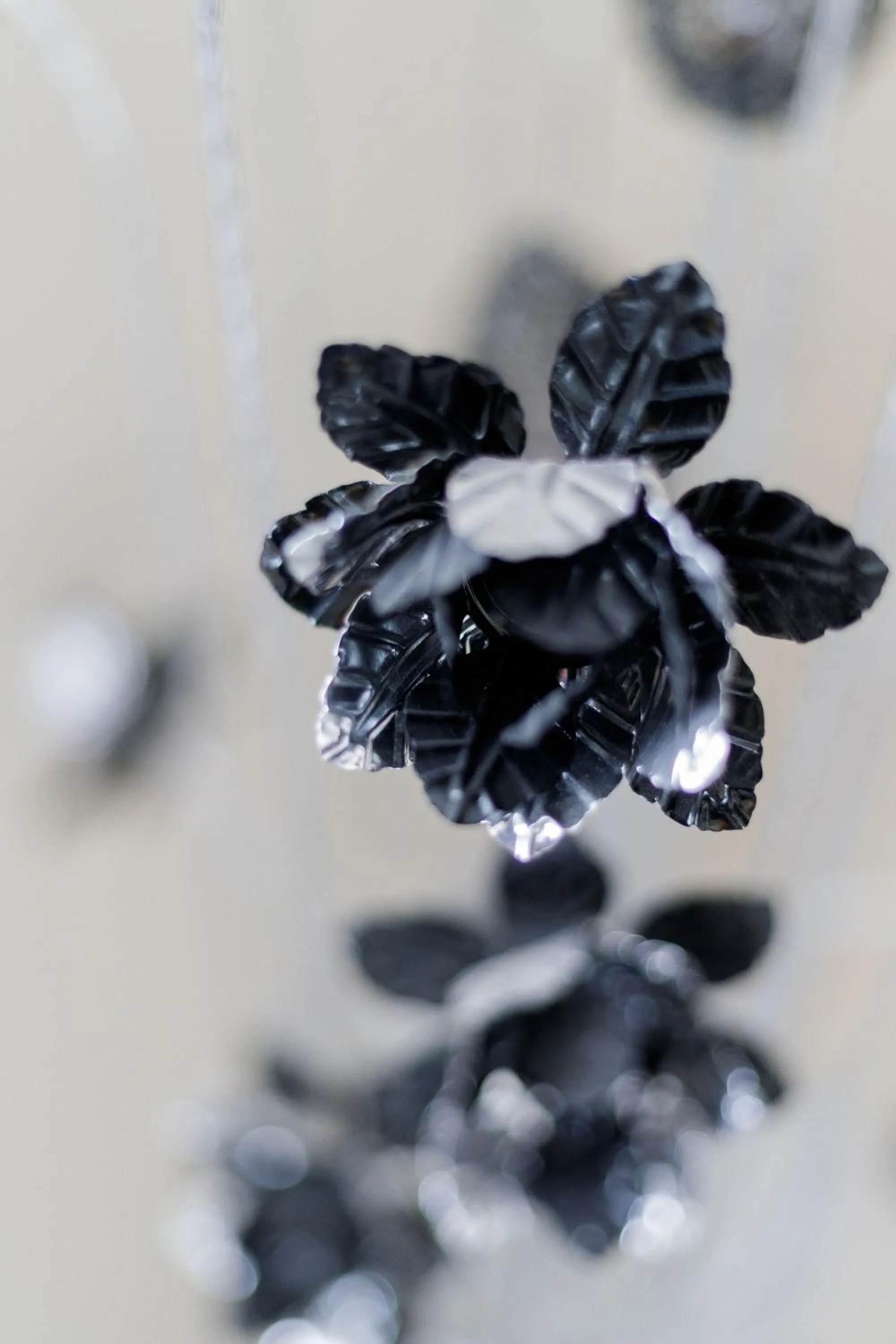 Other in Calvin House Apartments