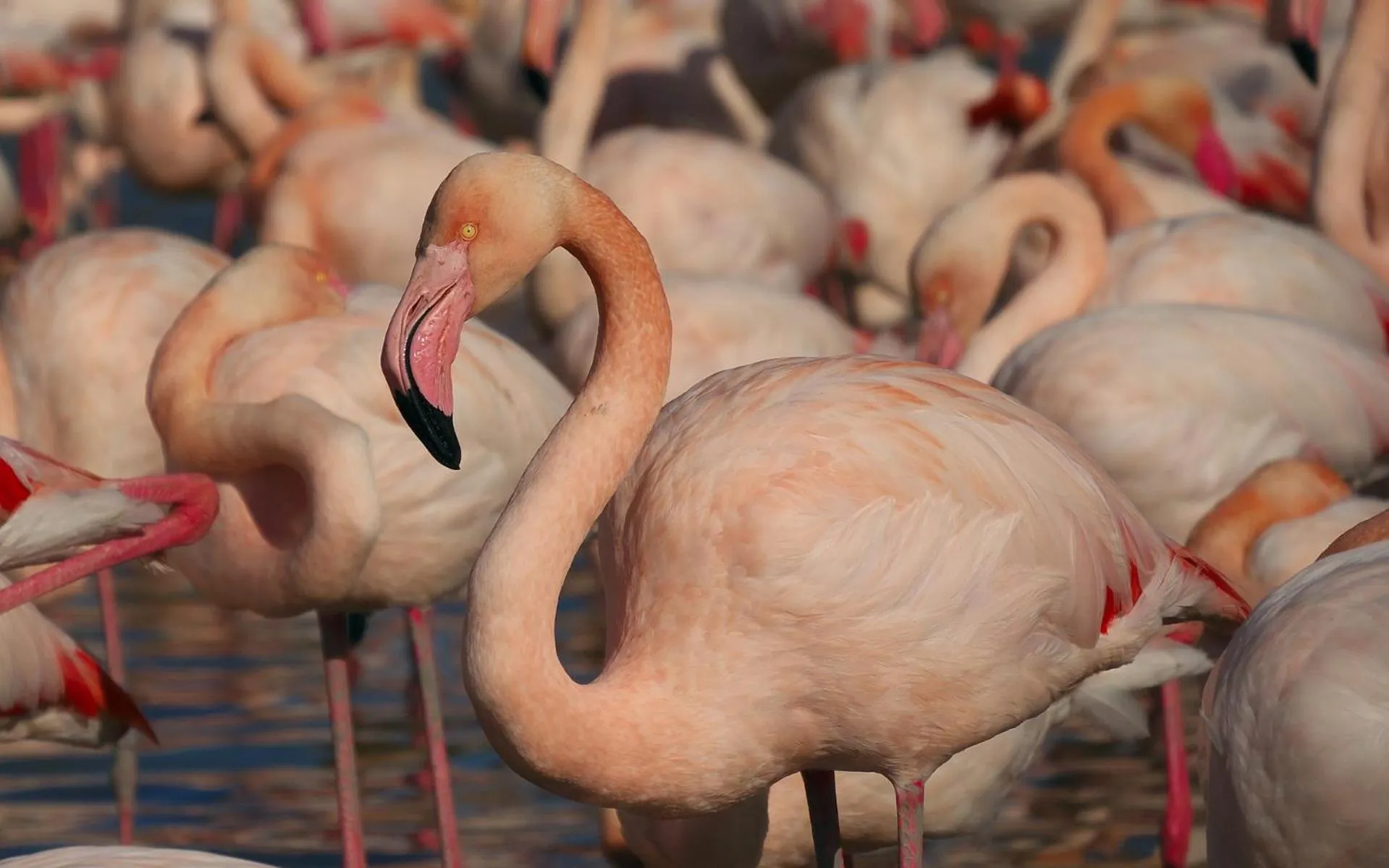 Nearby landmark in Hôtel & Restaurant de charme - La Bégude Saint-Pierre