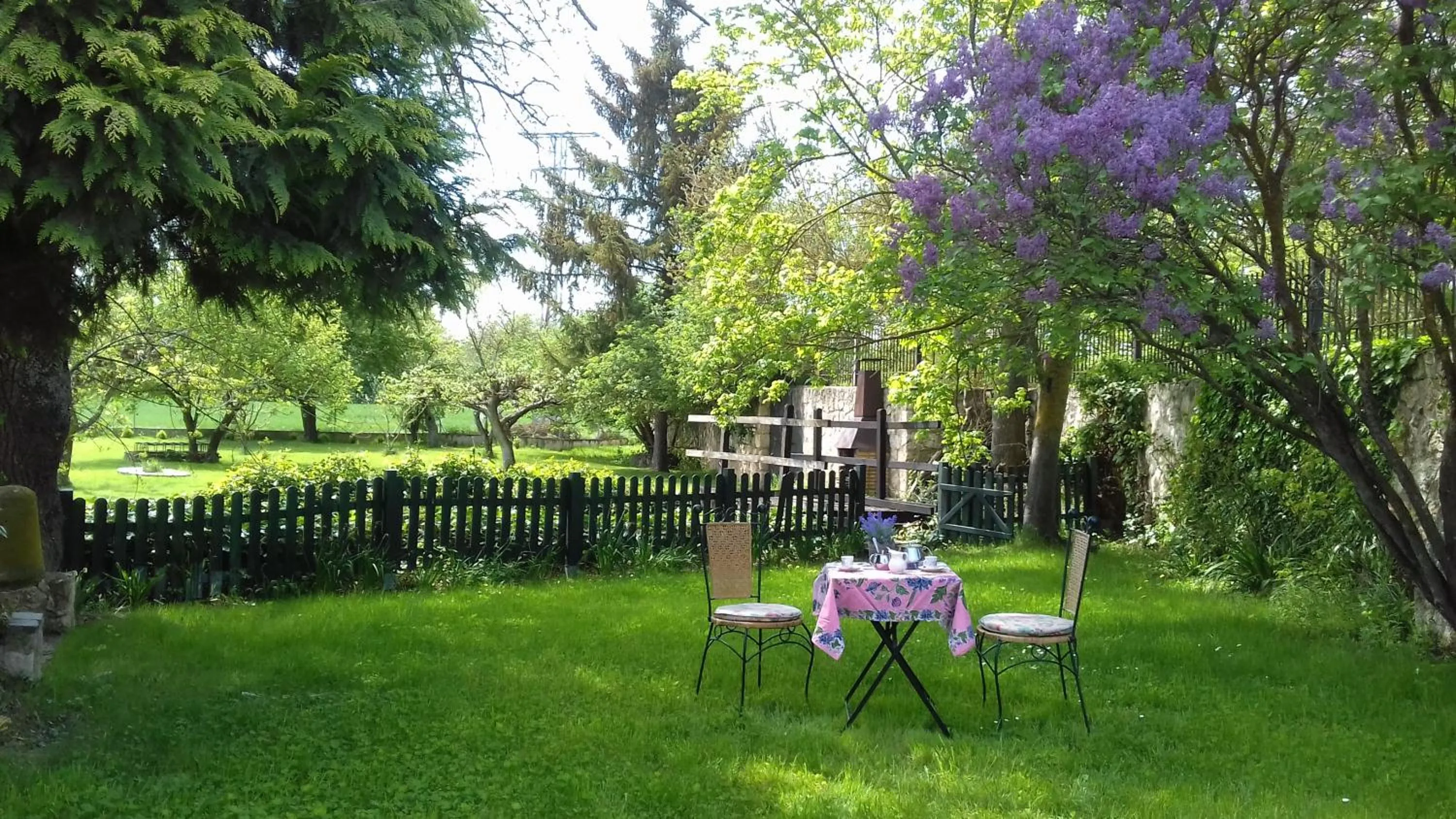 Spring in Molino De La Vega