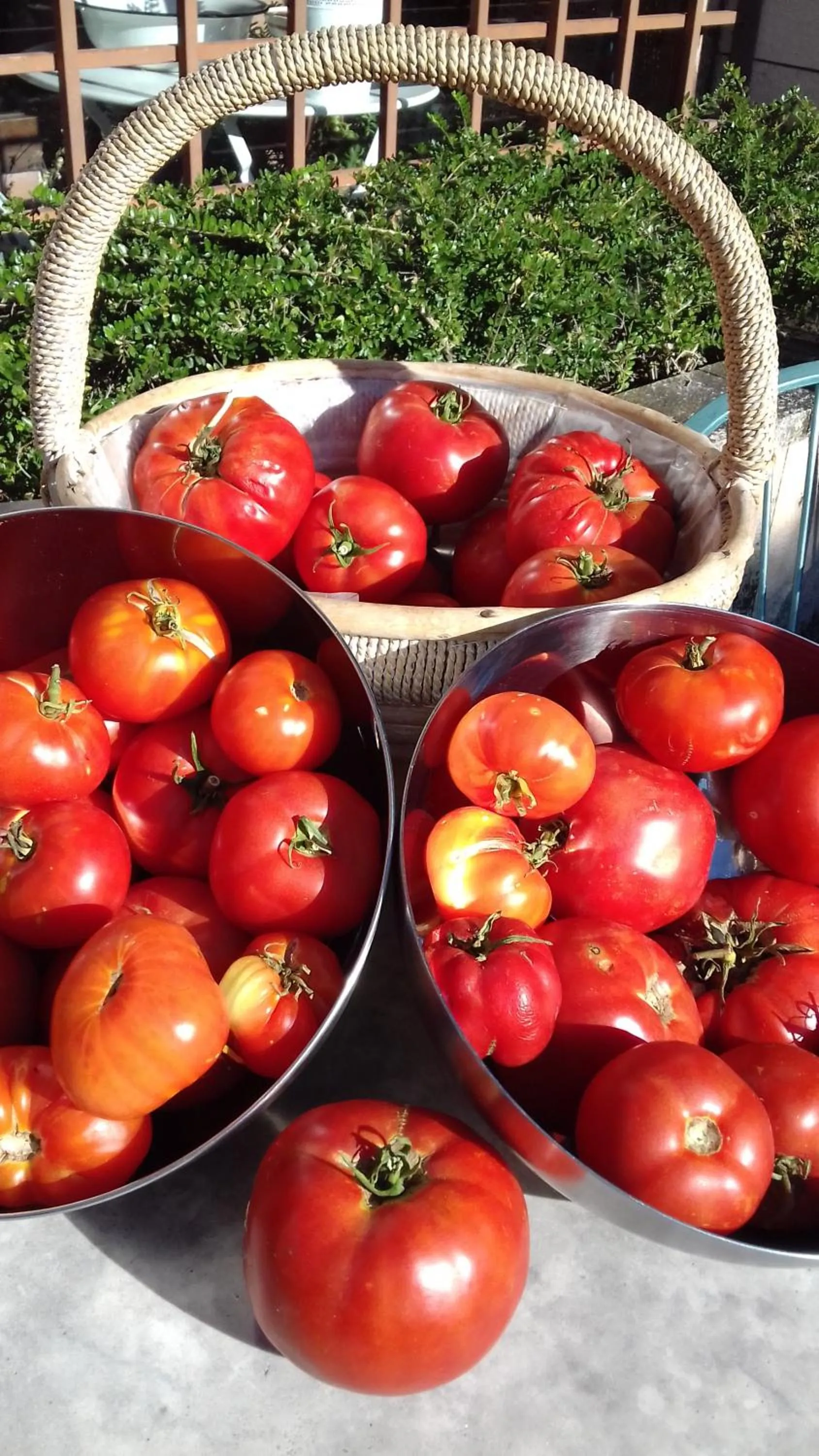 Food close-up in Molino De La Vega
