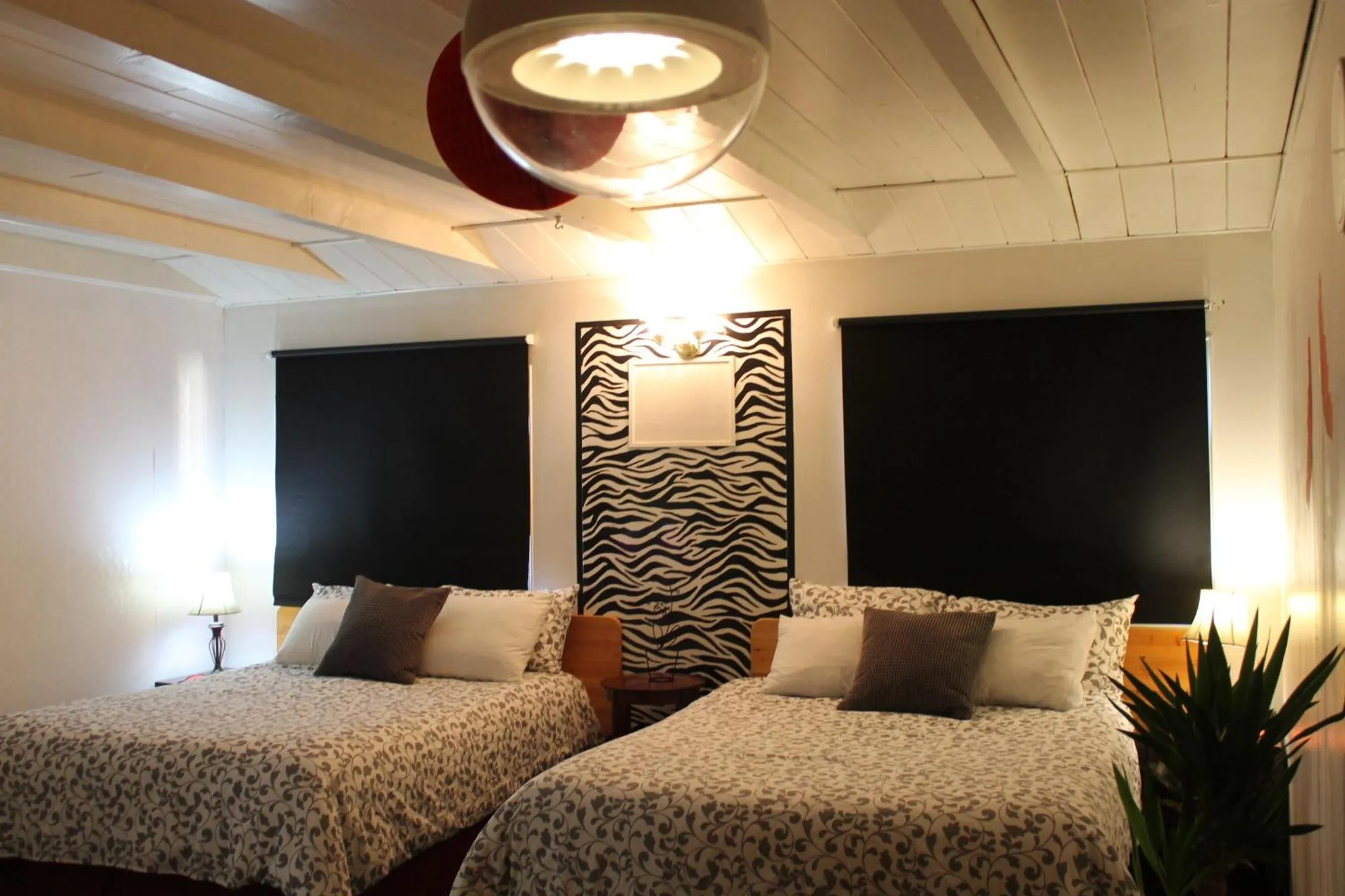 Bed in Sage Hills Motel