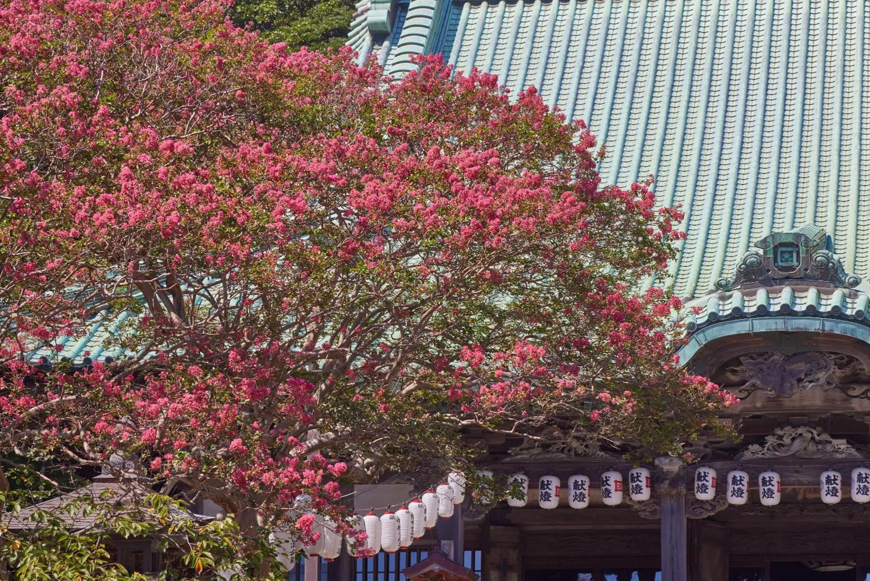 Nearby landmark in KAMAKURA Hotel