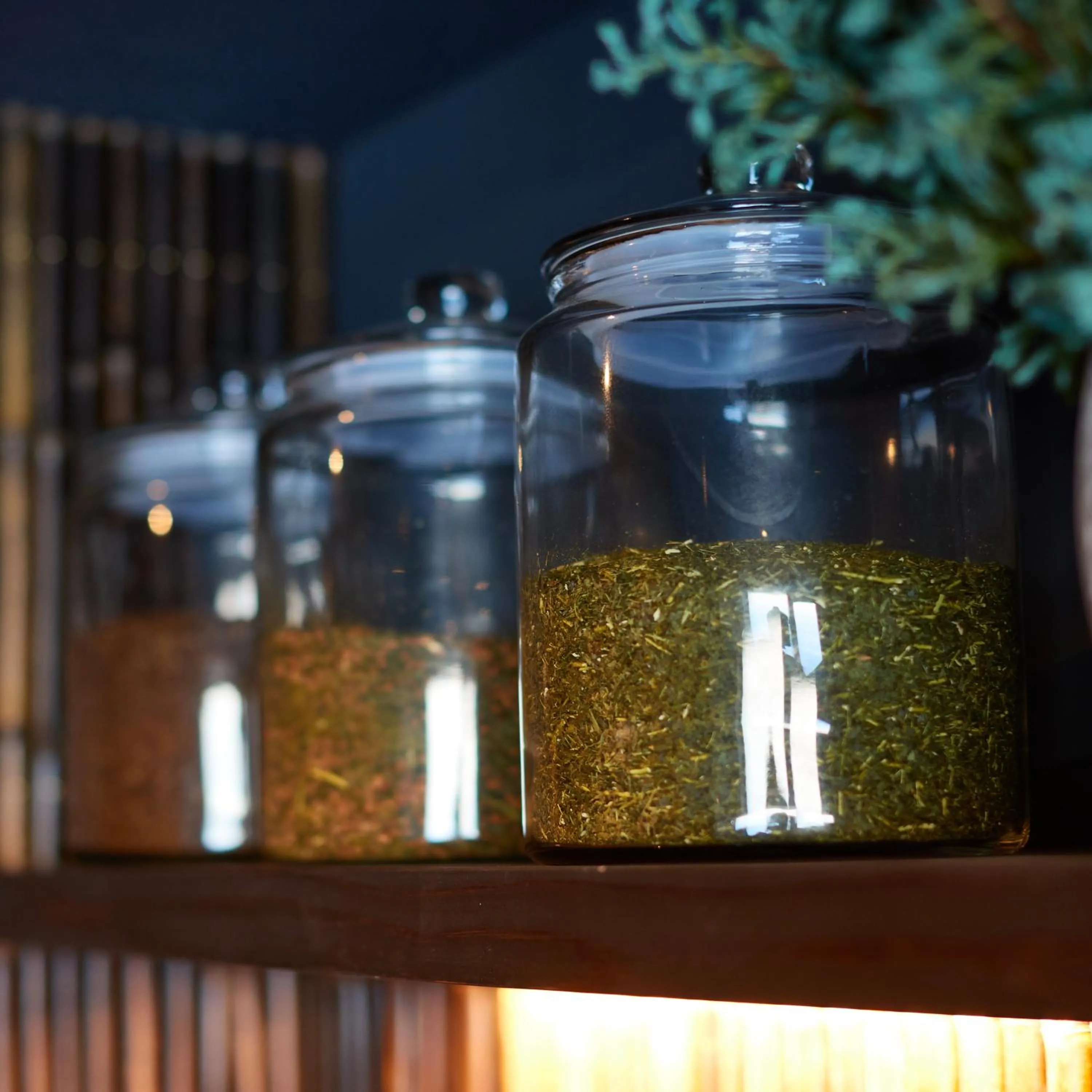 Sauna in KAMAKURA Hotel