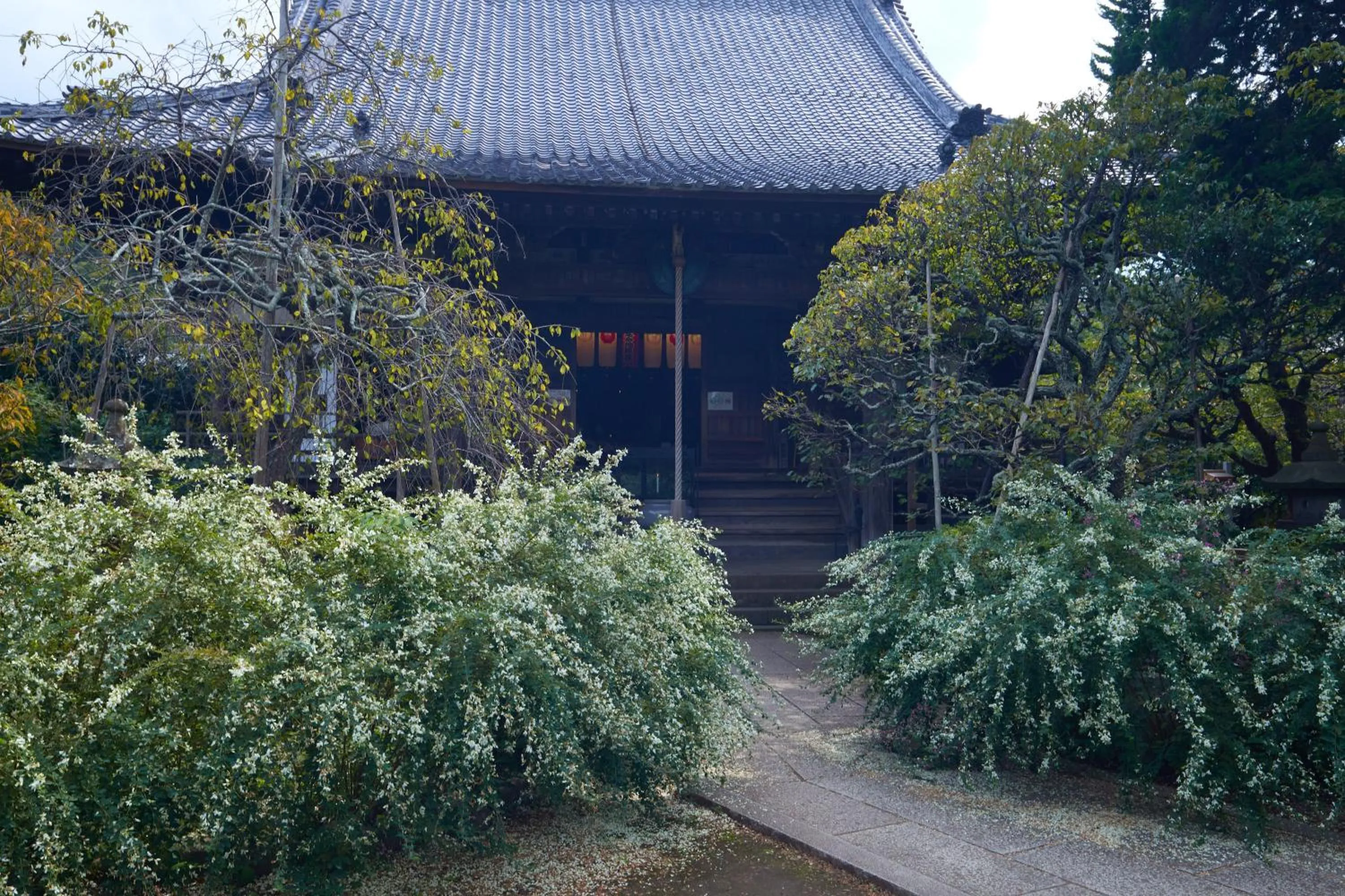 Nearby landmark in KAMAKURA Hotel