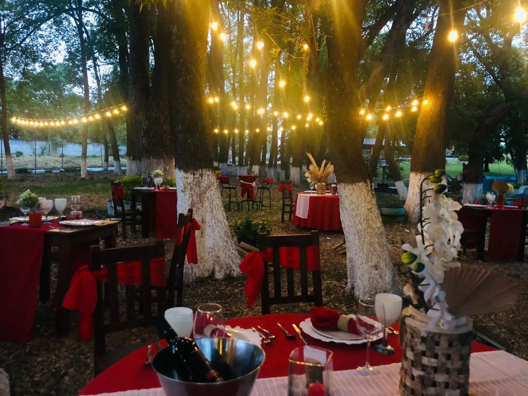 Restaurant/places to eat in HOTEL EX HACIENDA EL MOLINO