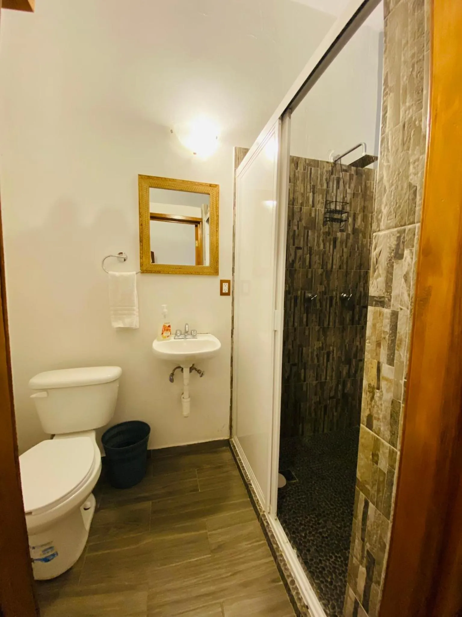 Toilet in HOTEL EX HACIENDA EL MOLINO