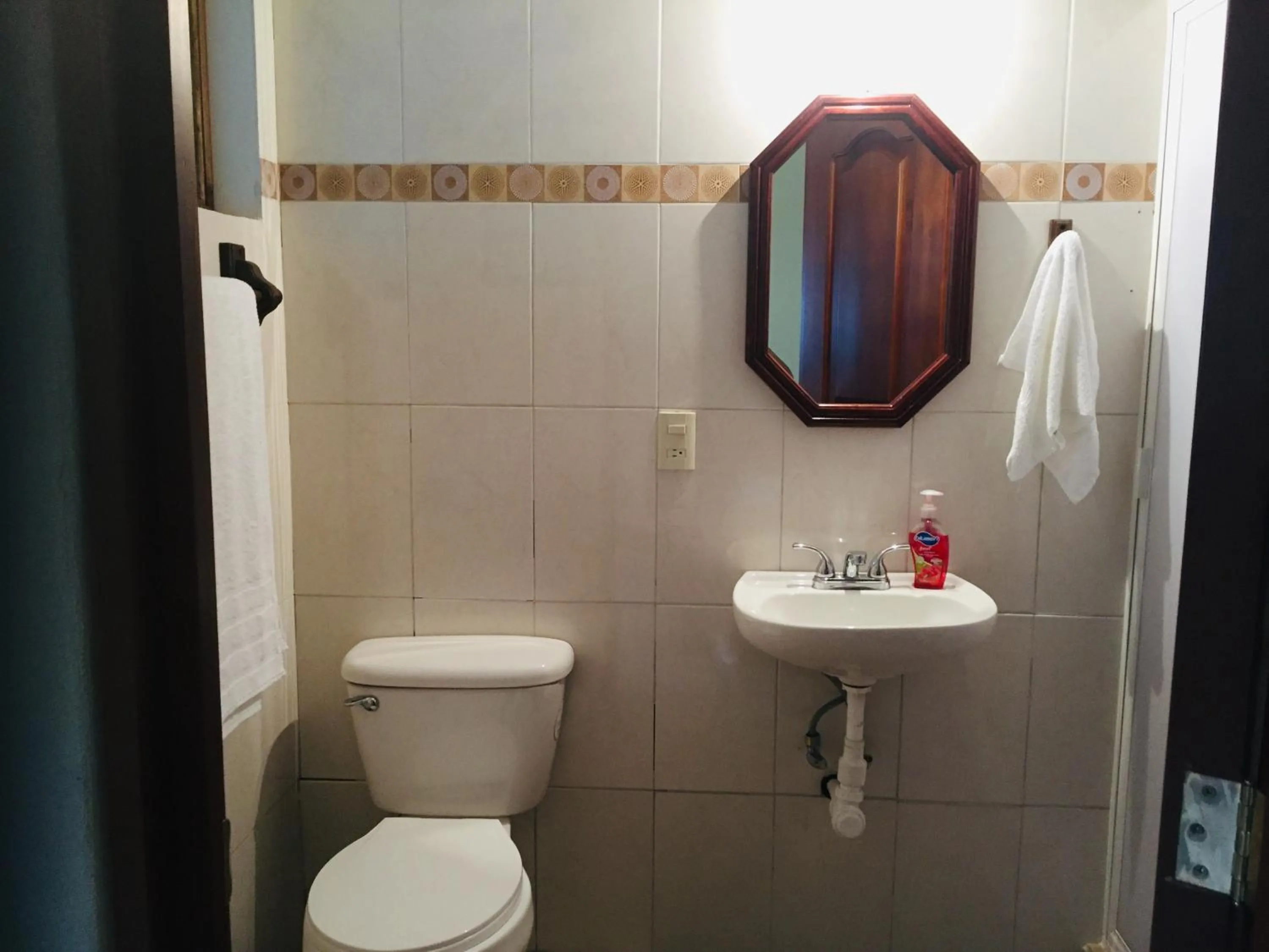 Toilet in HOTEL EX HACIENDA EL MOLINO