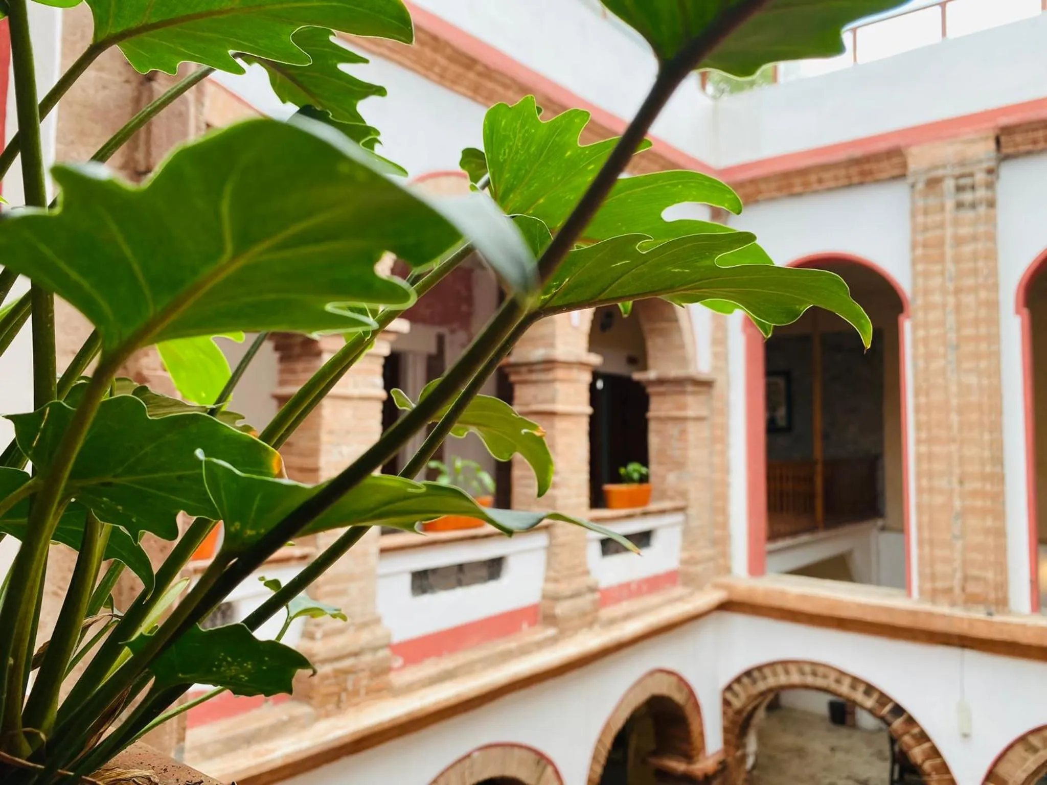 Patio in HOTEL EX HACIENDA EL MOLINO