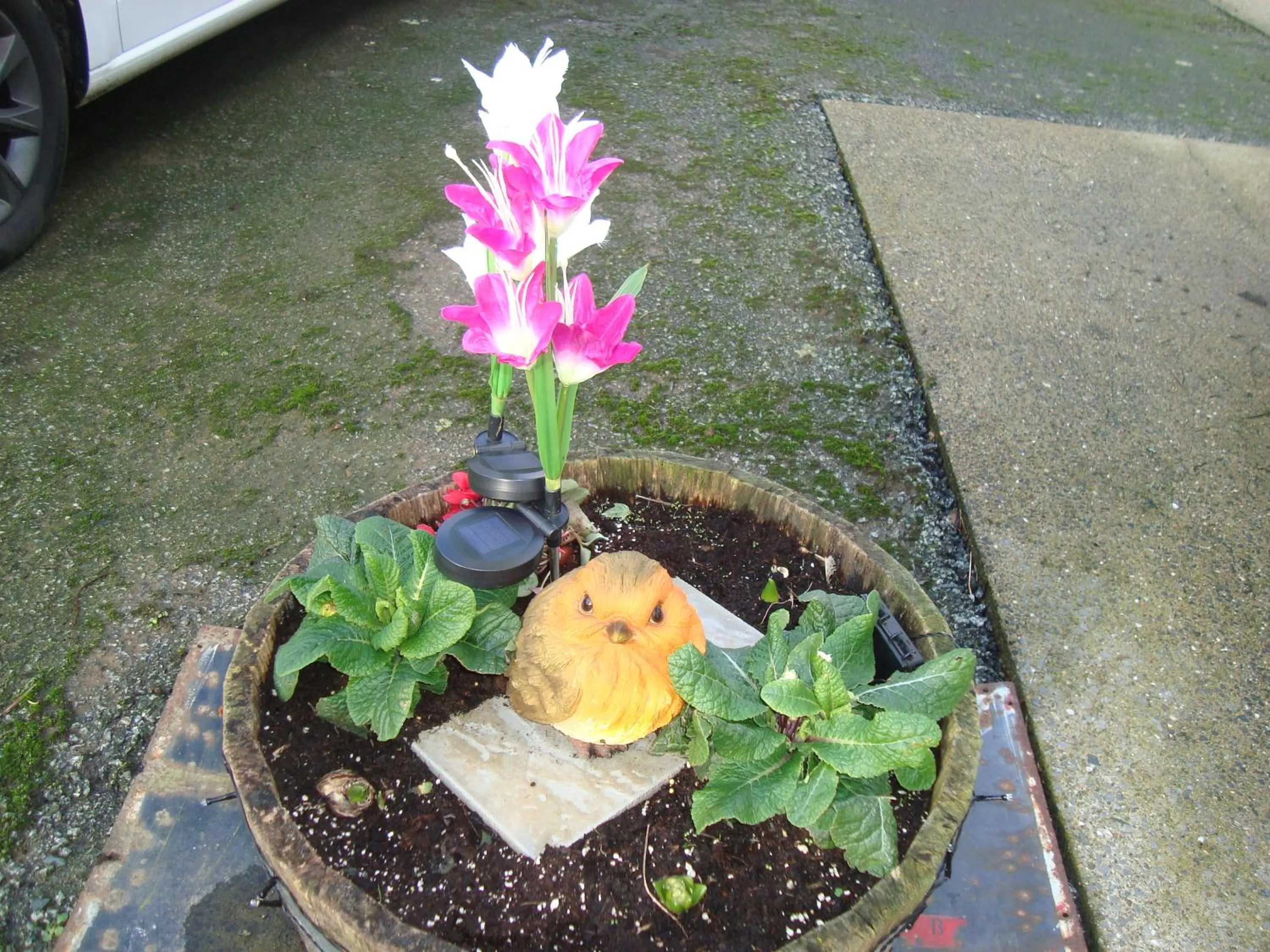Property building in The Farmhouse Lochmeyler