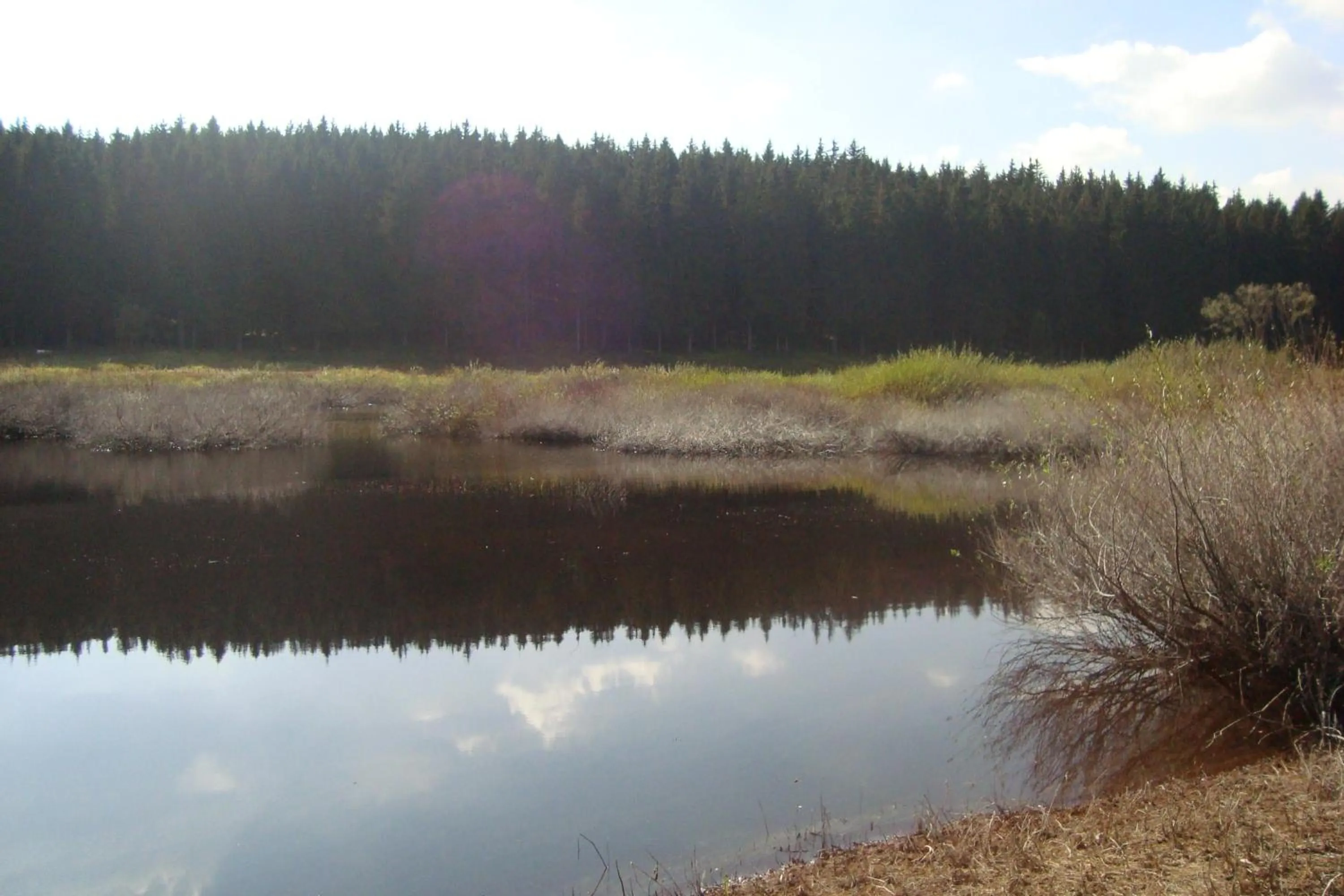 Area and facilities in Hotel zur Post