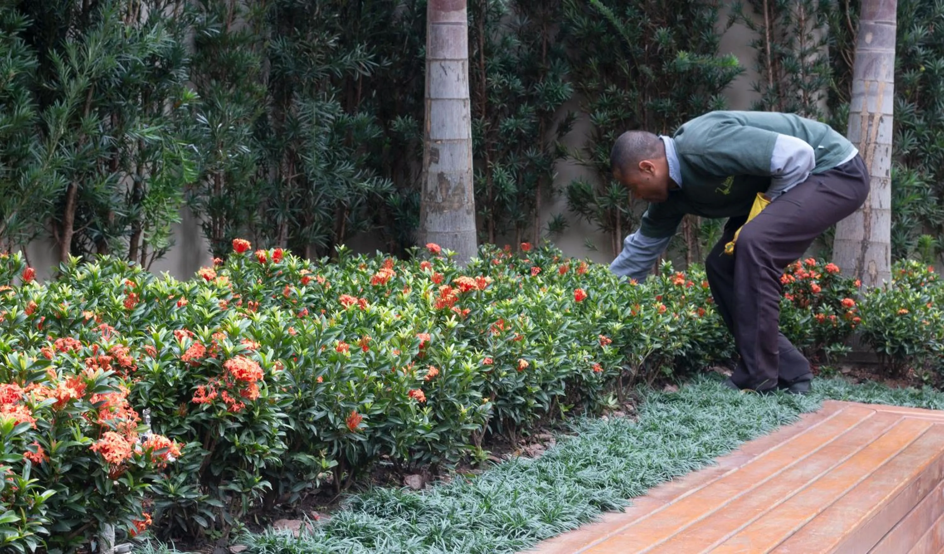 Garden in Ez Aclimação Hotel