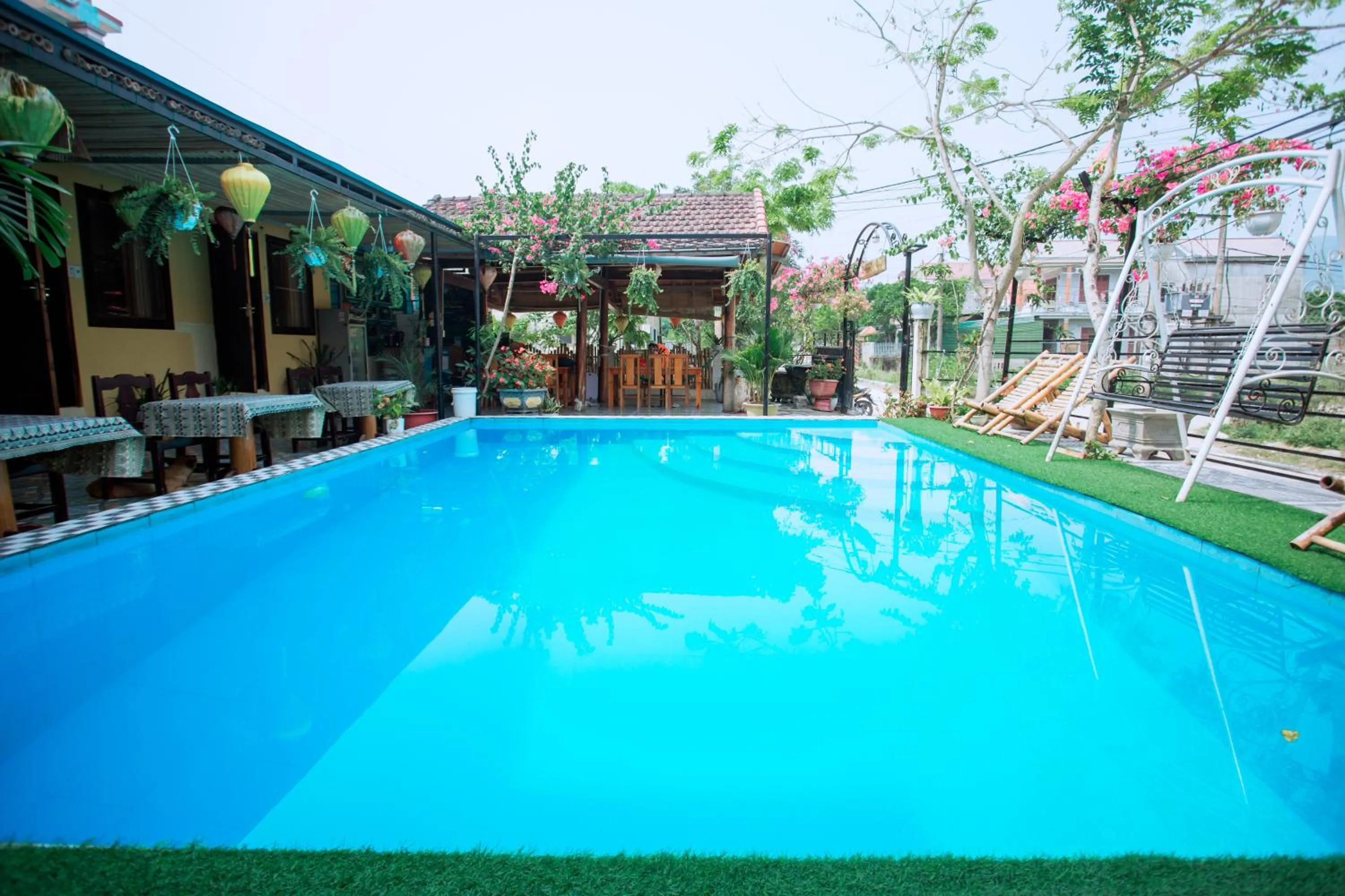 Pool view in Phong Nha Ecolodge Homestay & Tours - Mountain View