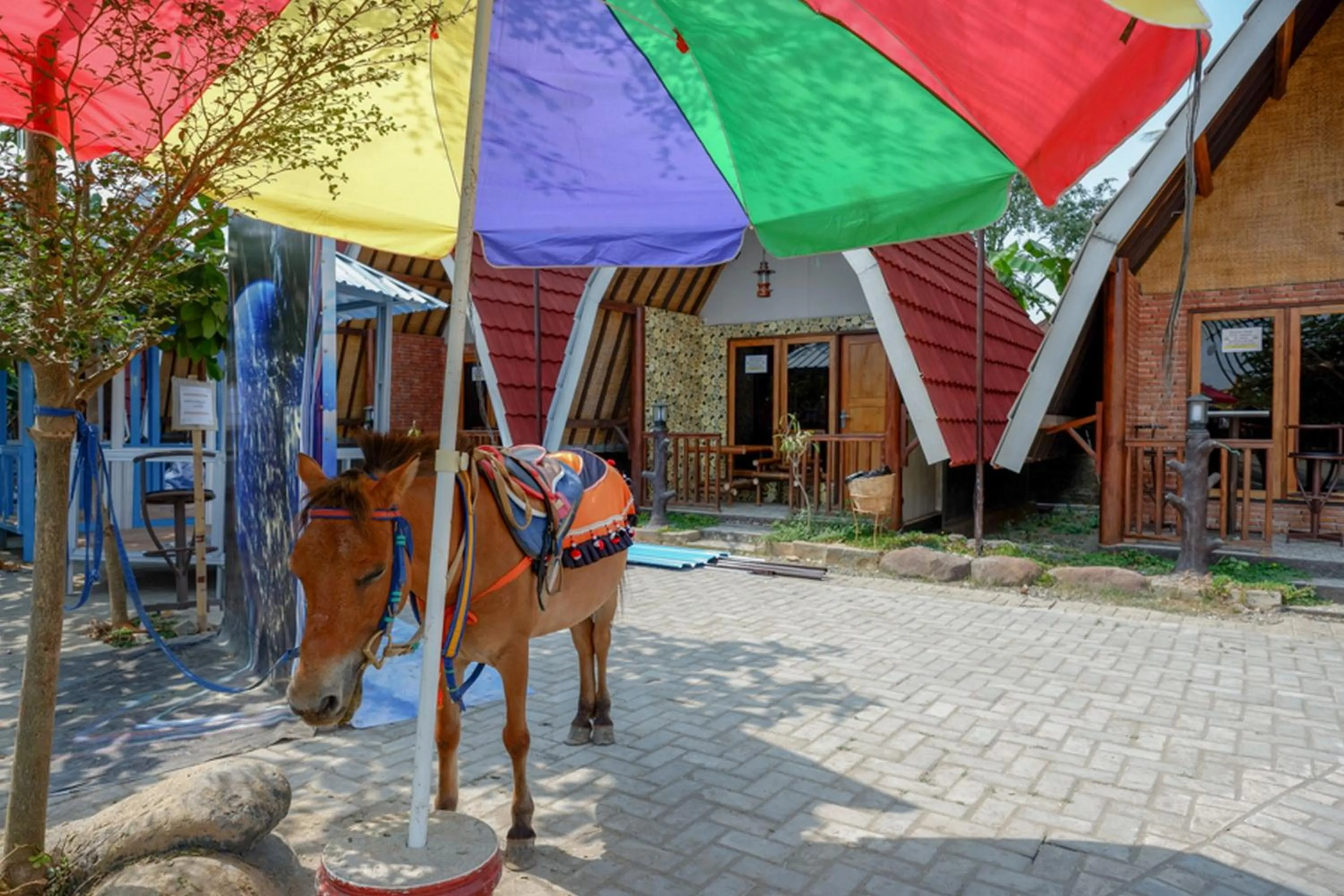 Property building in RedDoorz @ Kampoeng Etnik Kebumen 2