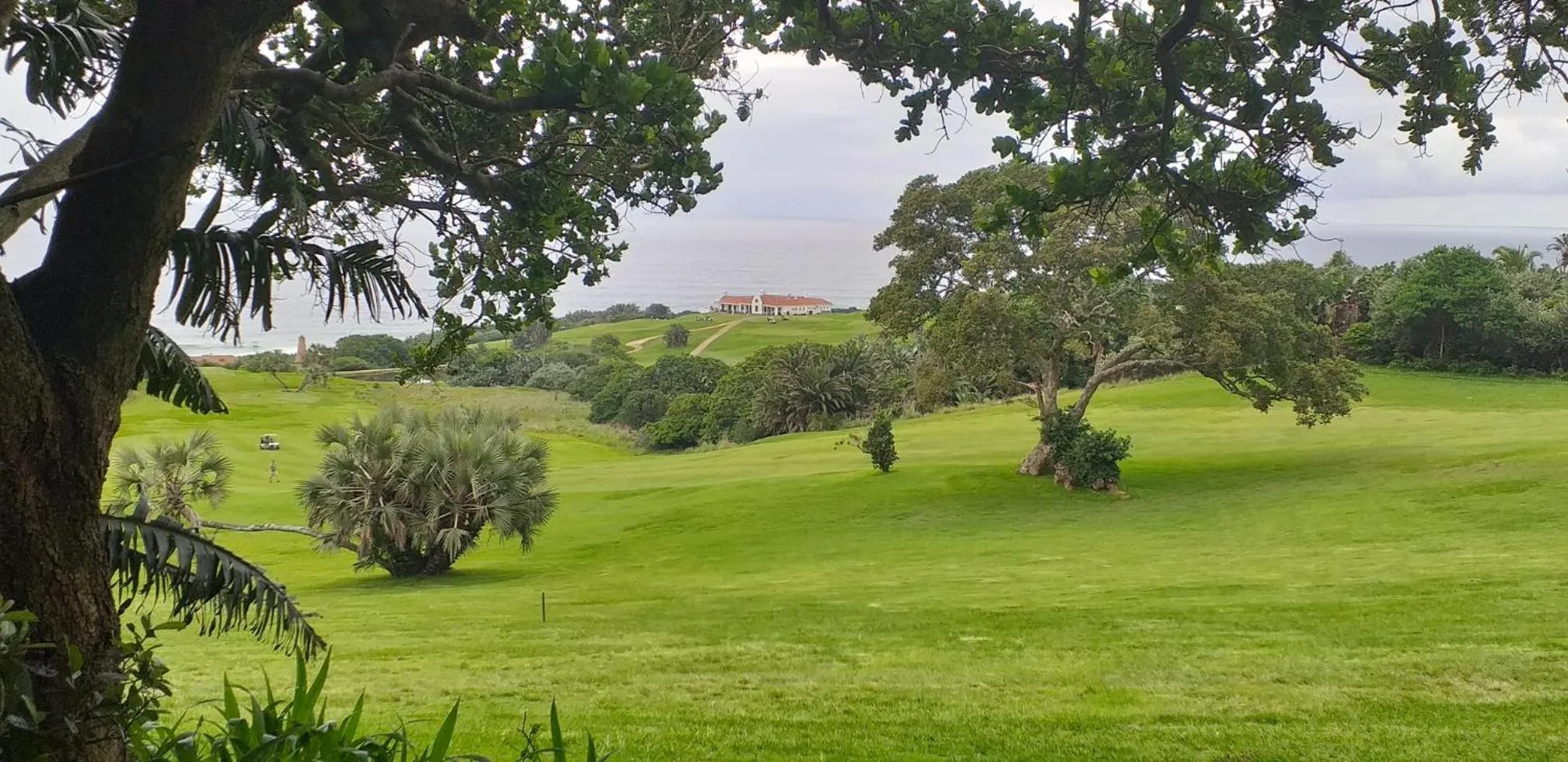 Restaurant/places to eat in IRONWOOD LODGE